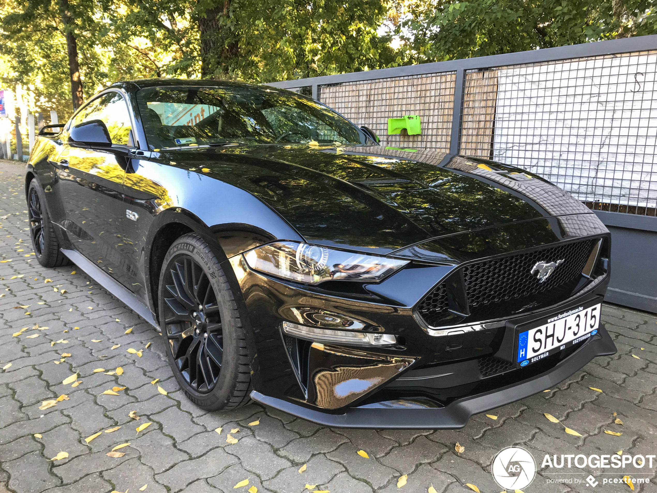 Ford Mustang GT 2018