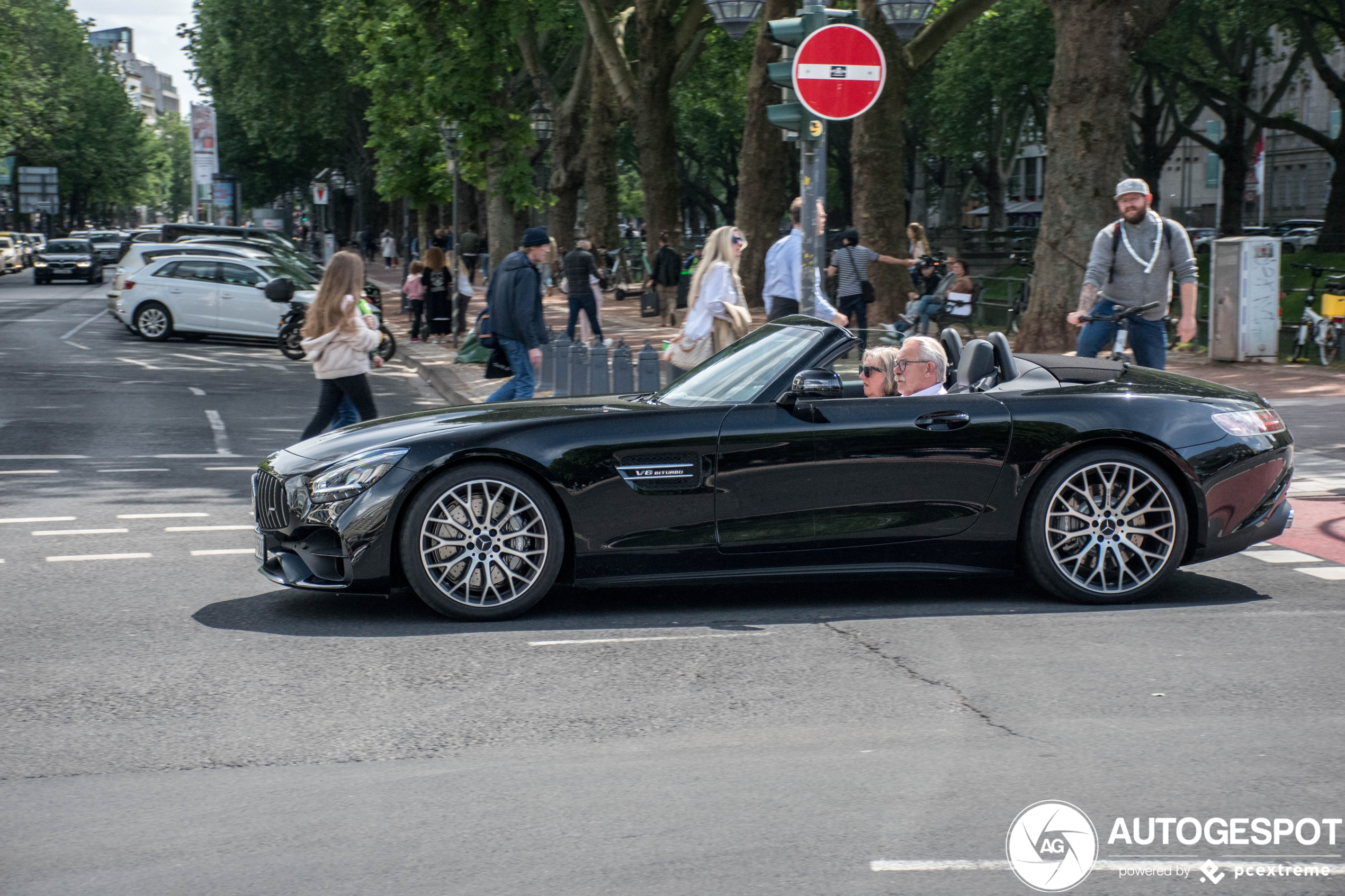 Mercedes-AMG GT Roadster R190 2019