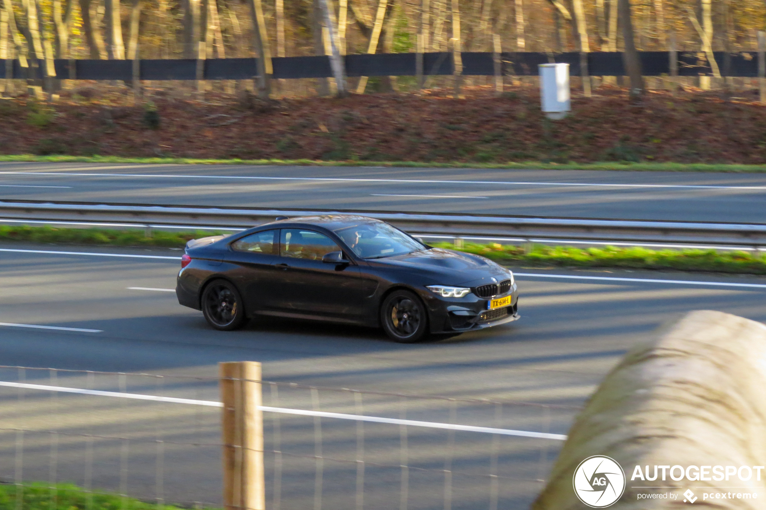 BMW M4 F82 CS