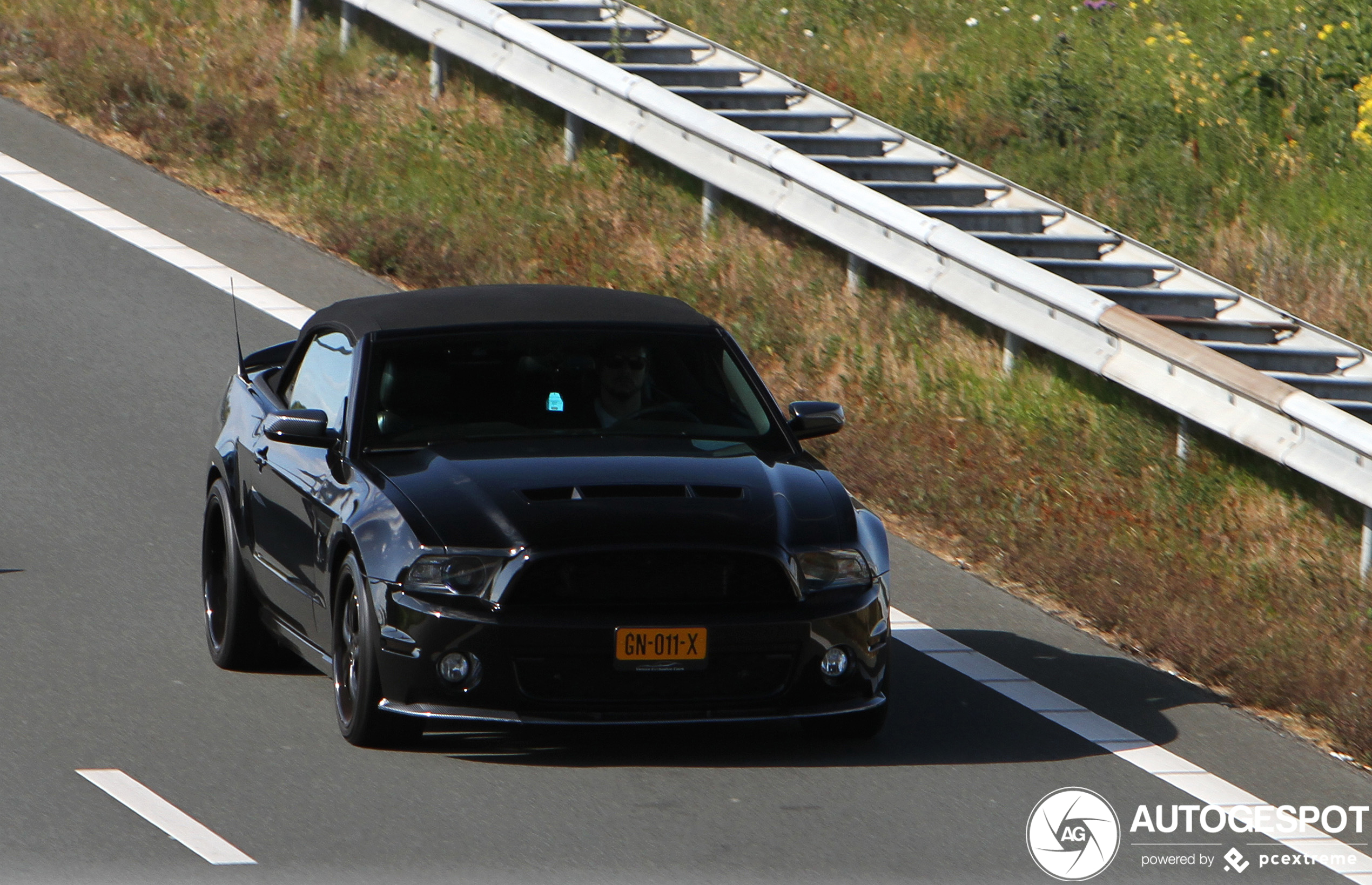 Ford Mustang Shelby GT500 Convertible 2010