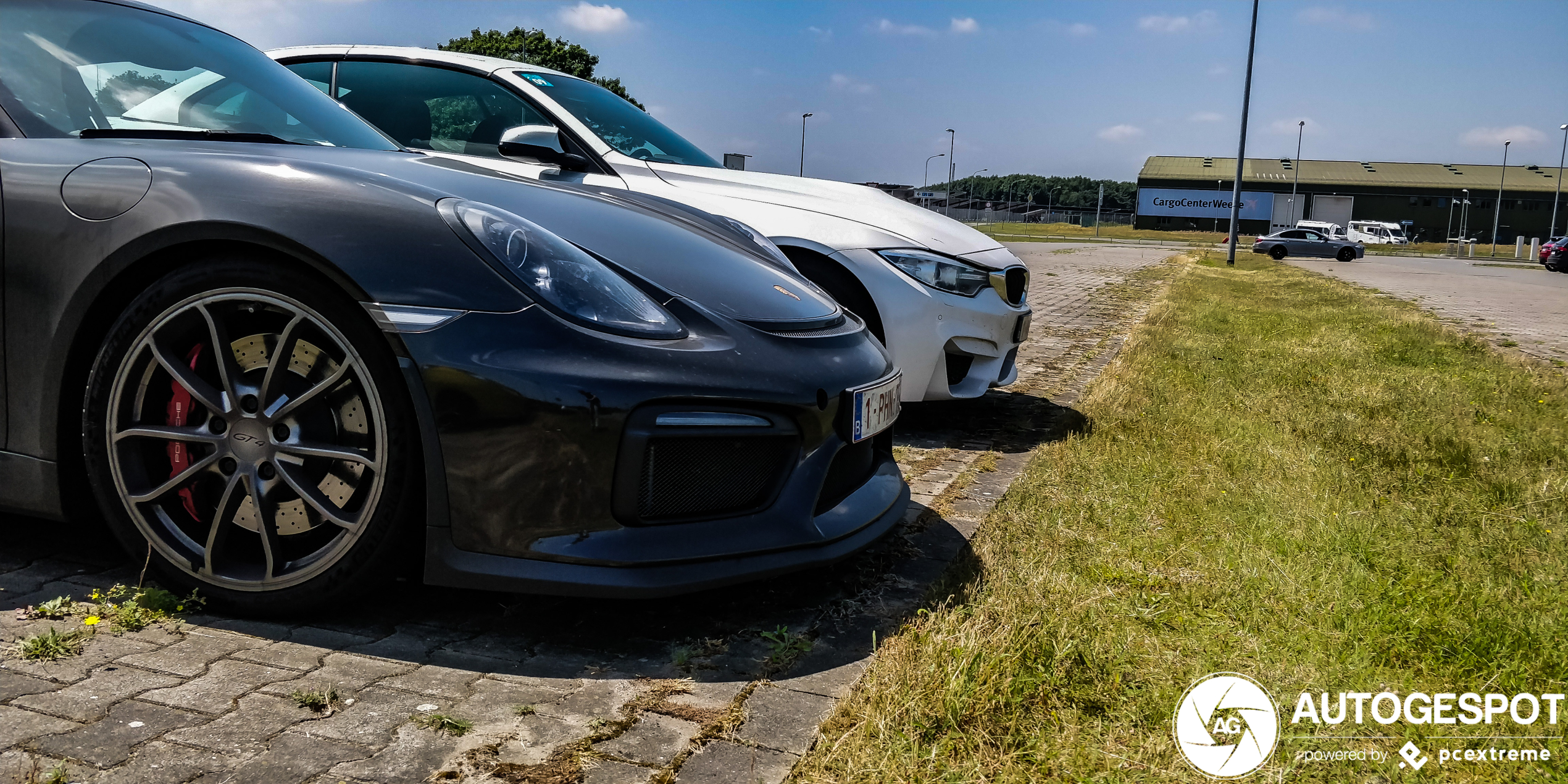 Porsche 981 Cayman GT4