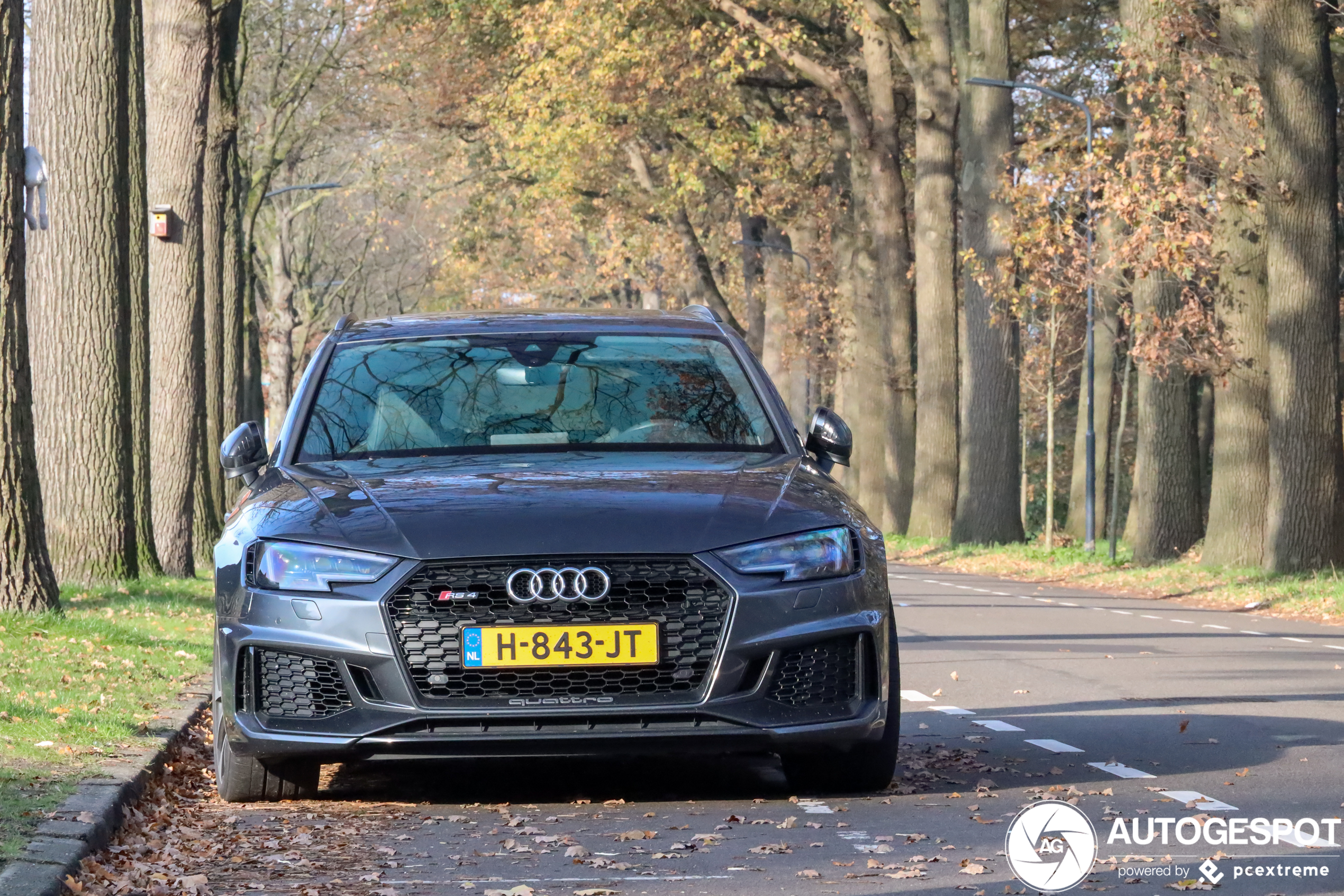 Audi RS4 Avant B9