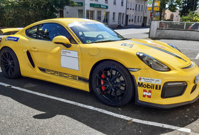 Porsche 981 Cayman GT4