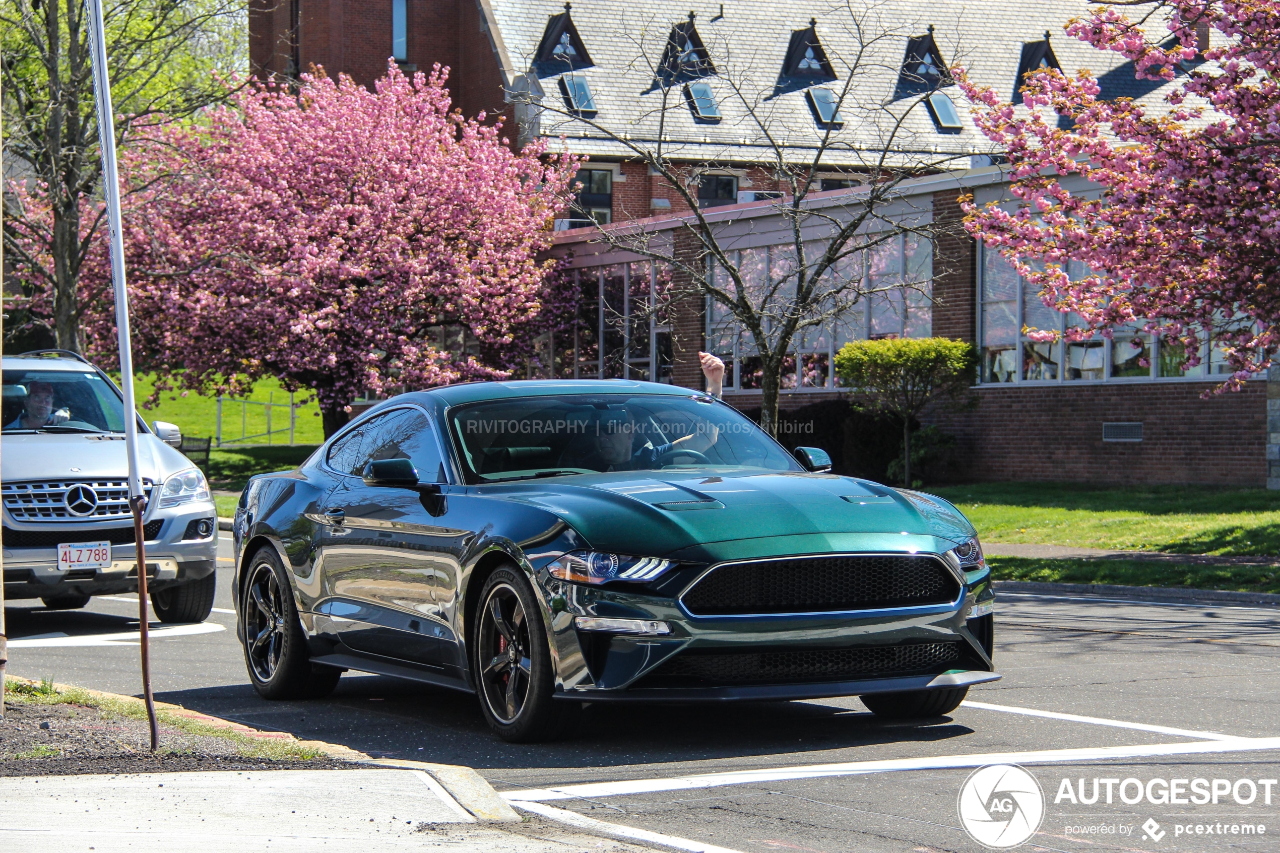 Ford Mustang Bullitt 2019