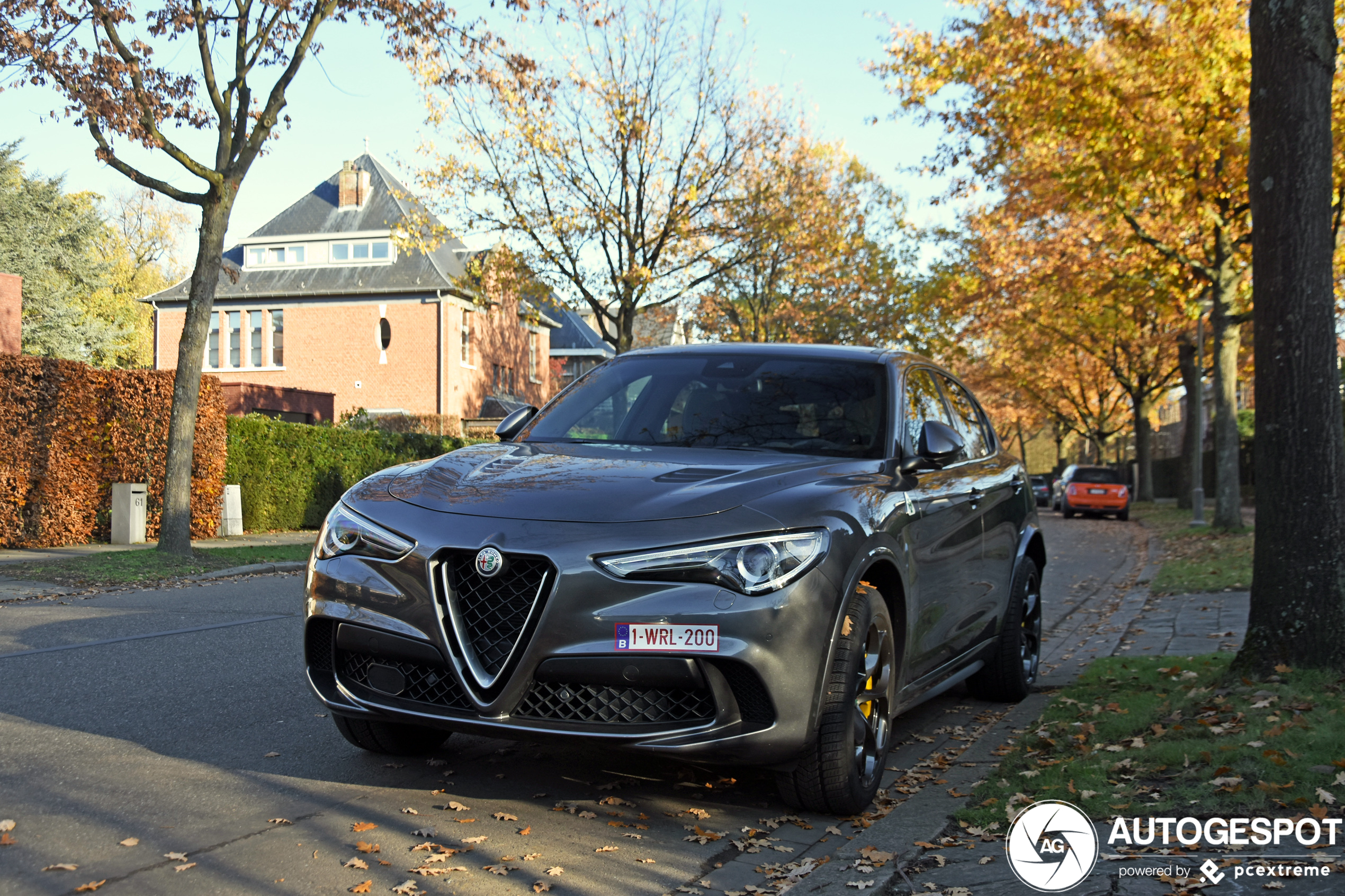 Alfa Romeo Stelvio Quadrifoglio