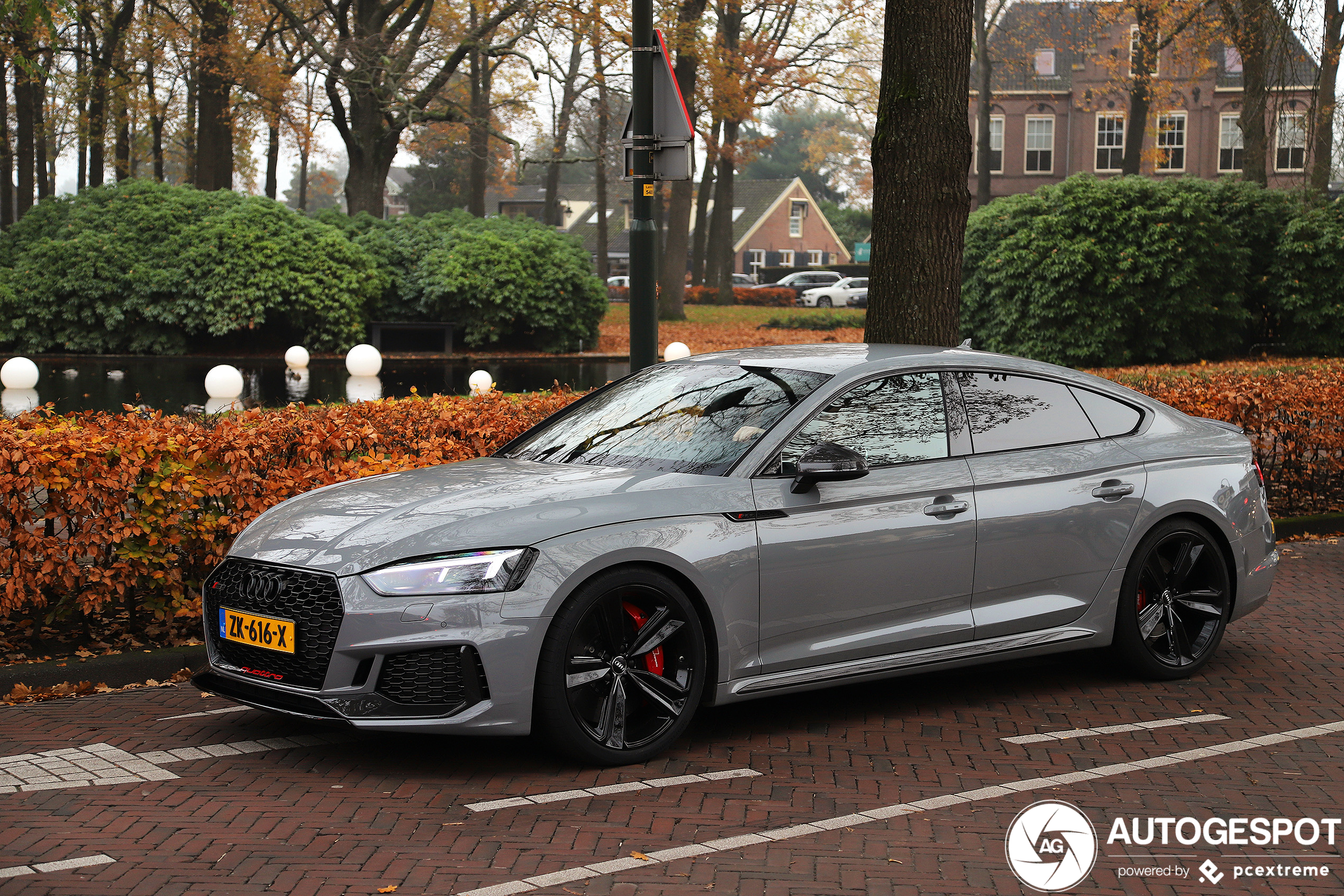 Audi RS5 Sportback B9