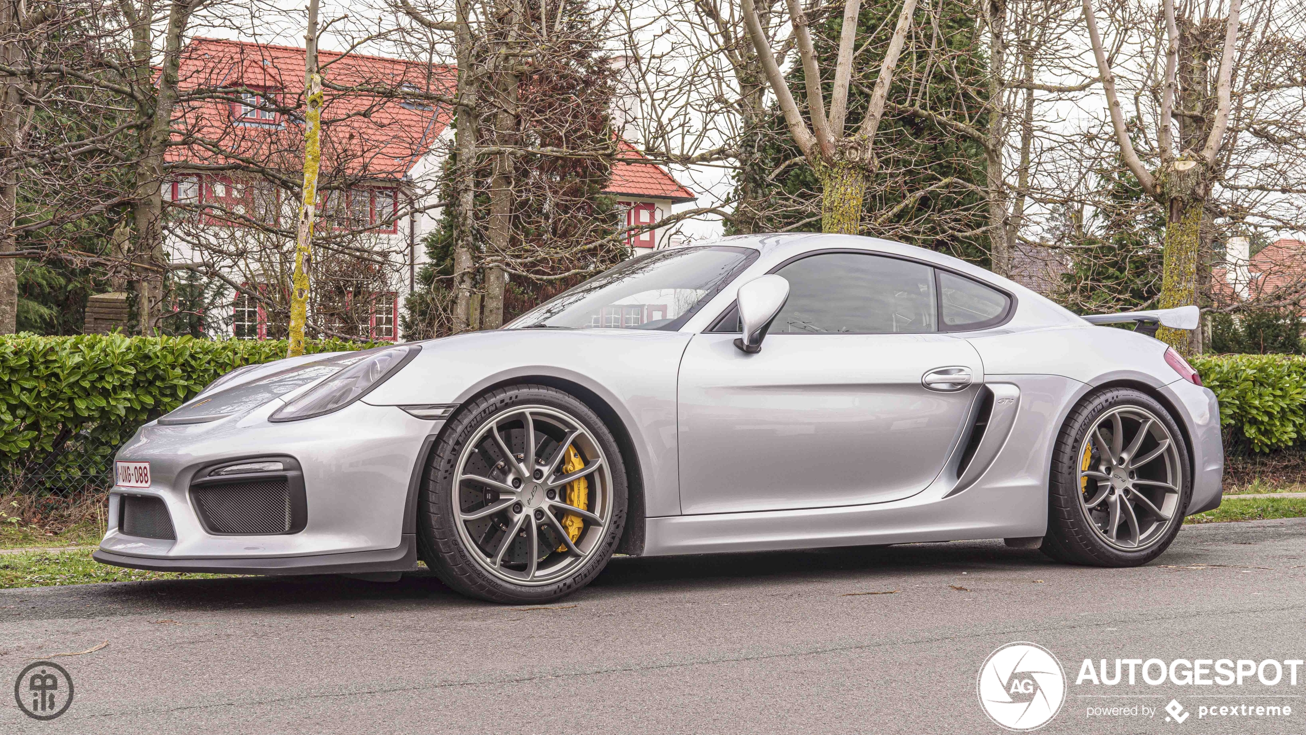 Porsche 981 Cayman GT4