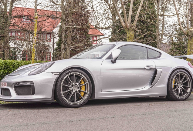 Porsche 981 Cayman GT4