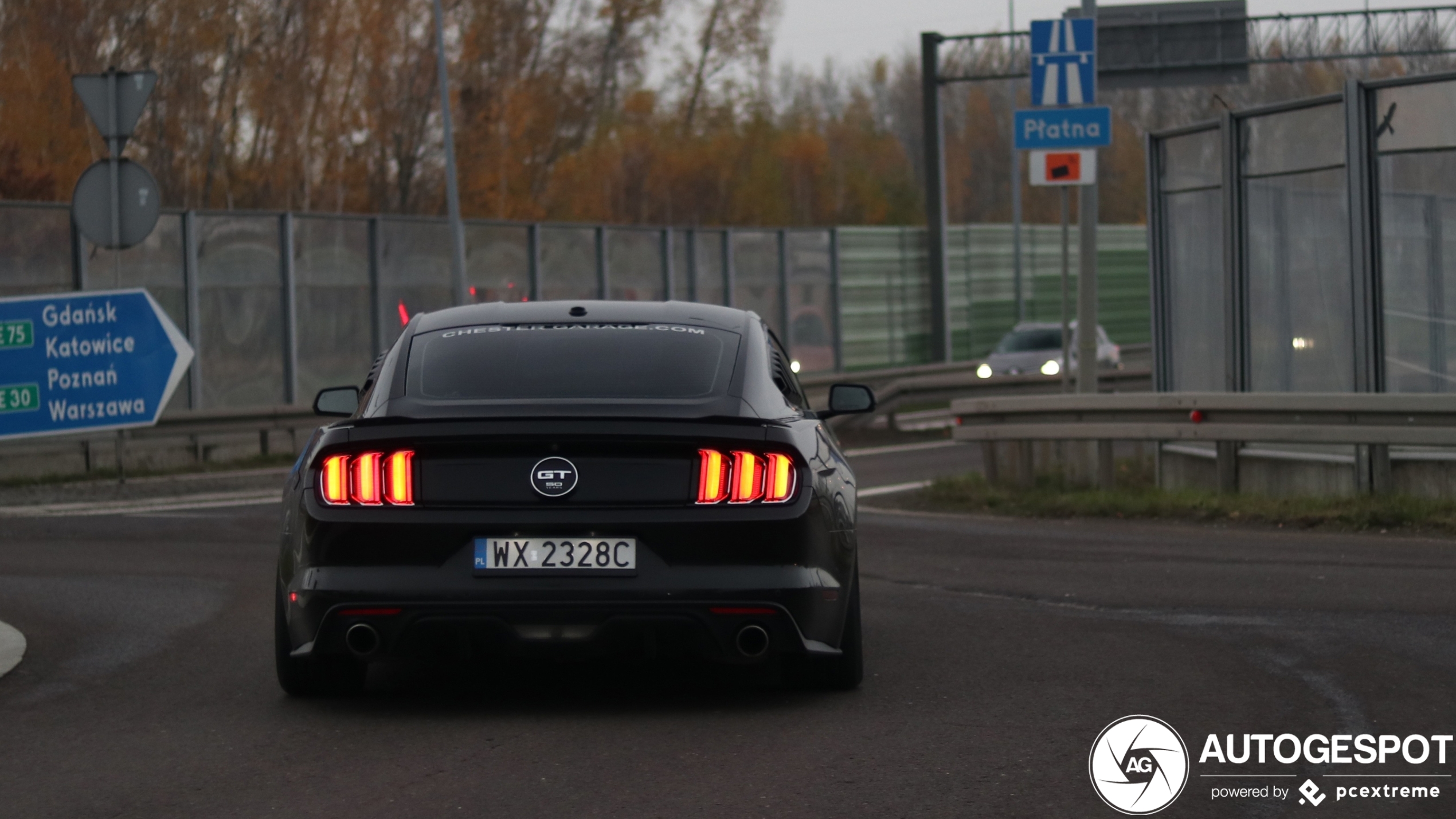 Ford Mustang GT 50th Anniversary Edition