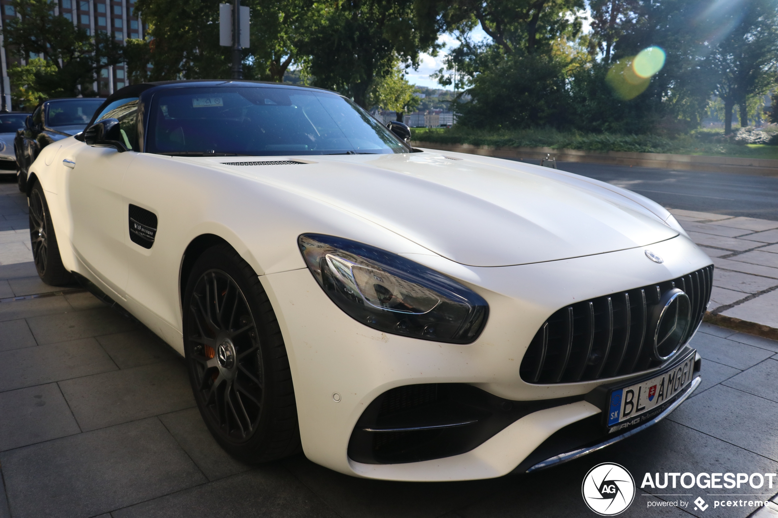 Mercedes-AMG GT C Roadster R190 Edition 50