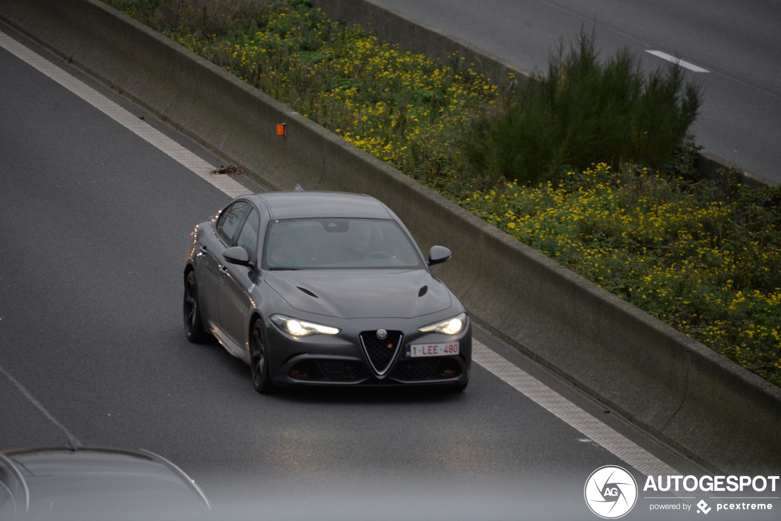 Alfa Romeo Giulia Quadrifoglio