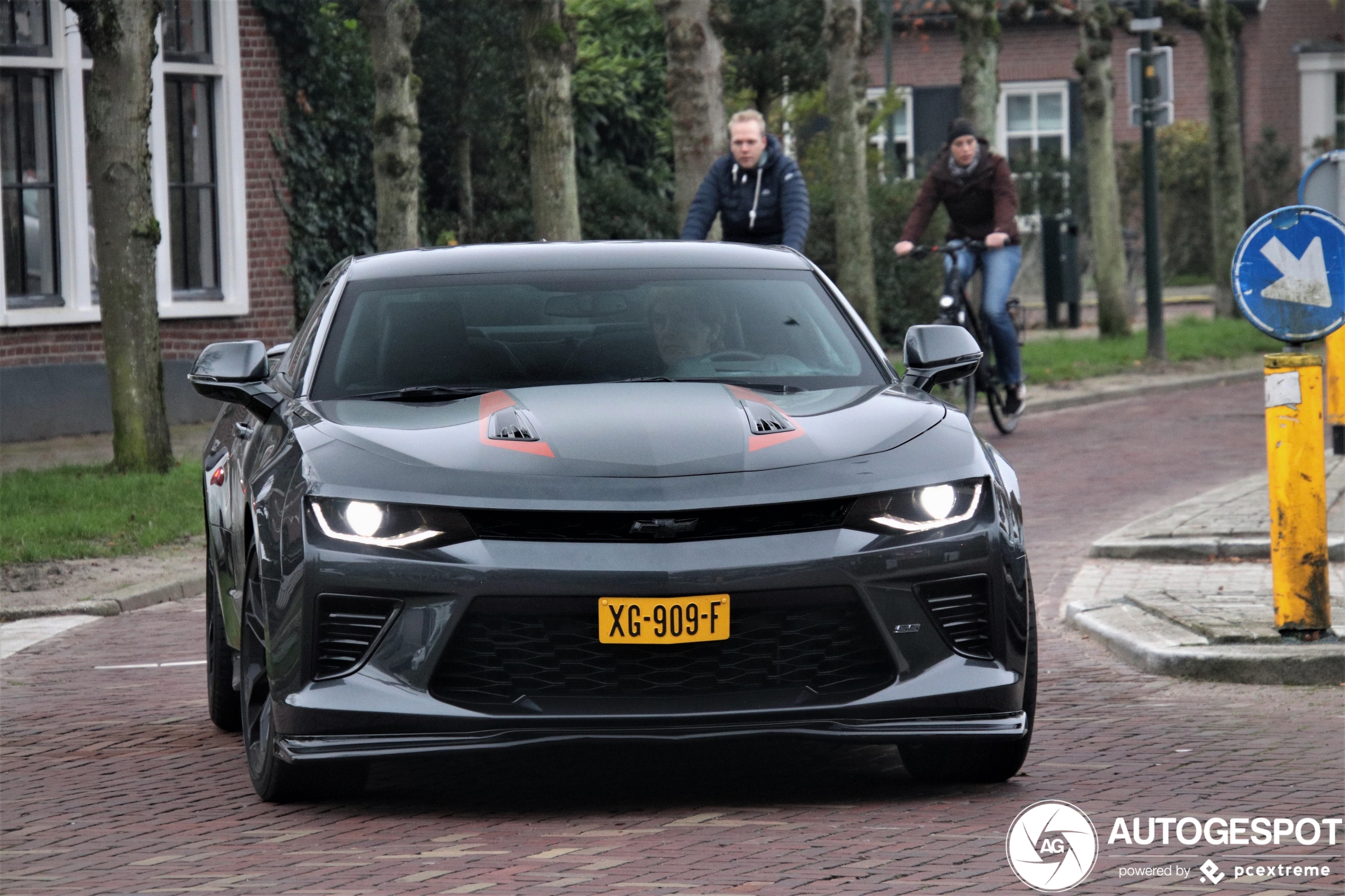 Chevrolet Camaro SS 2016 50th Anniversary