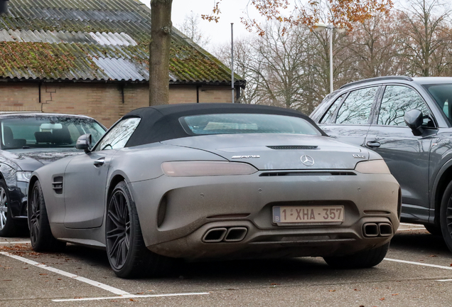 Mercedes-AMG GT C Roadster R190 2019