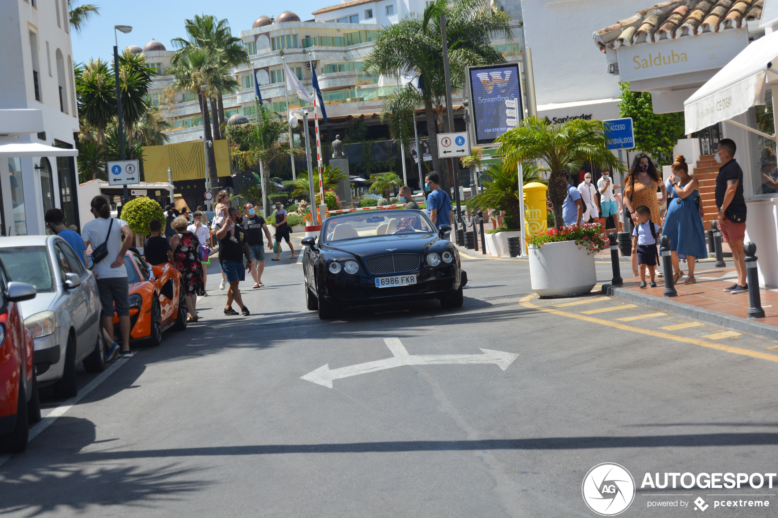 Bentley Continental GTC