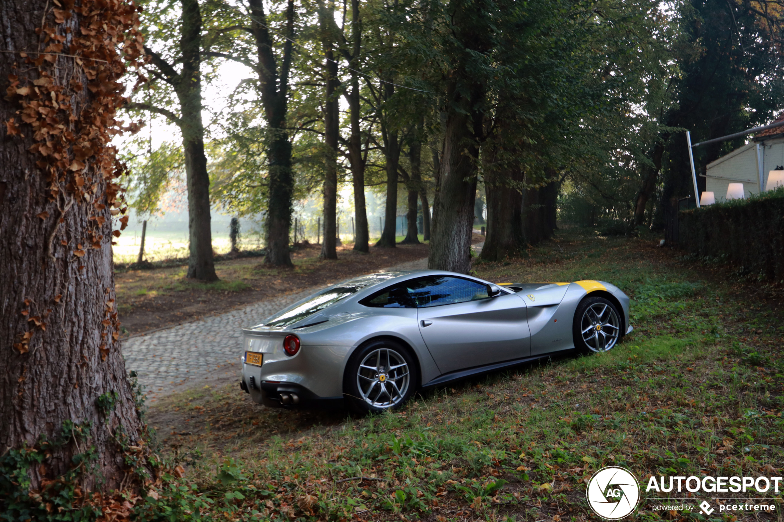 Ferrari F12berlinetta