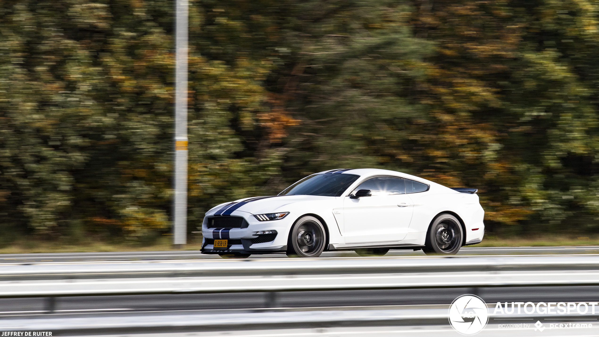 Ford Mustang Shelby GT350 2015