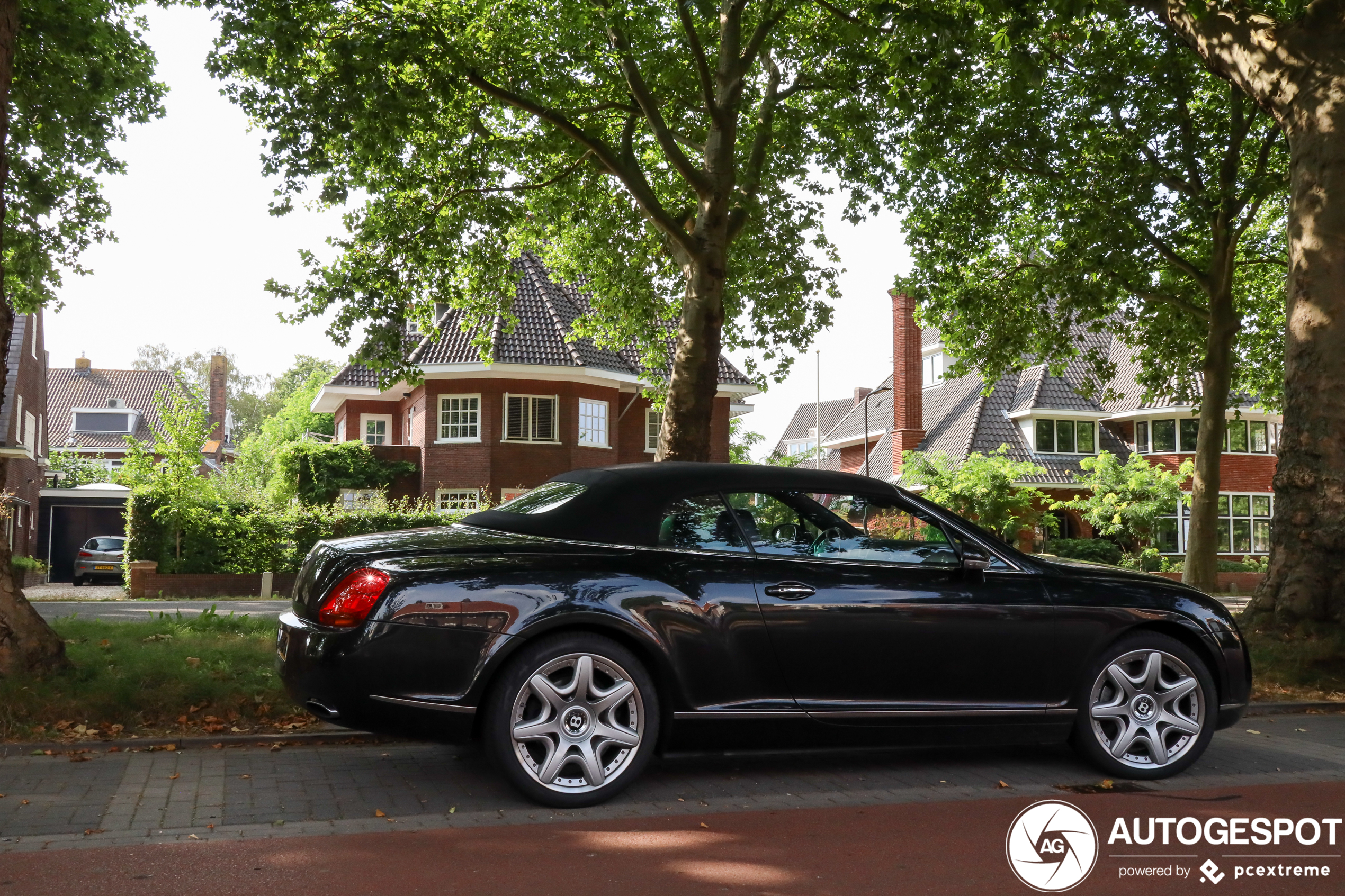 Bentley Continental GTC