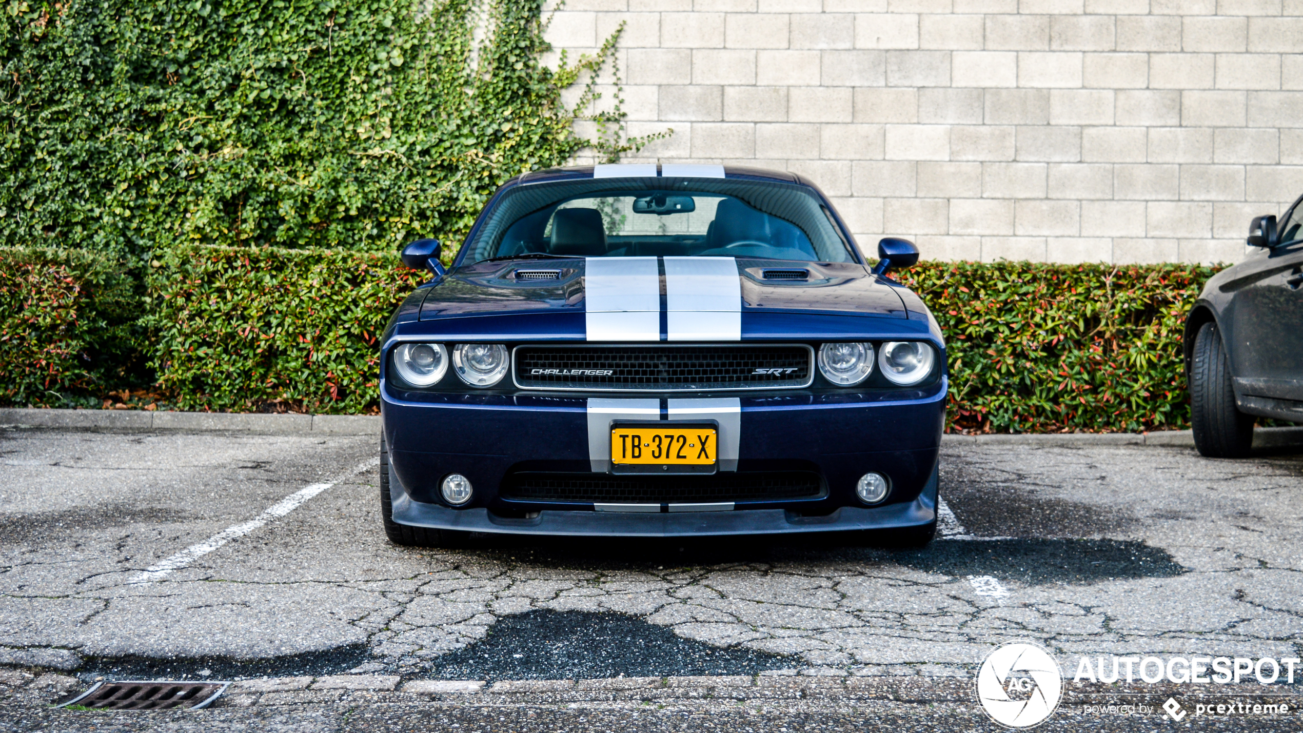 Dodge Challenger SRT-8 392