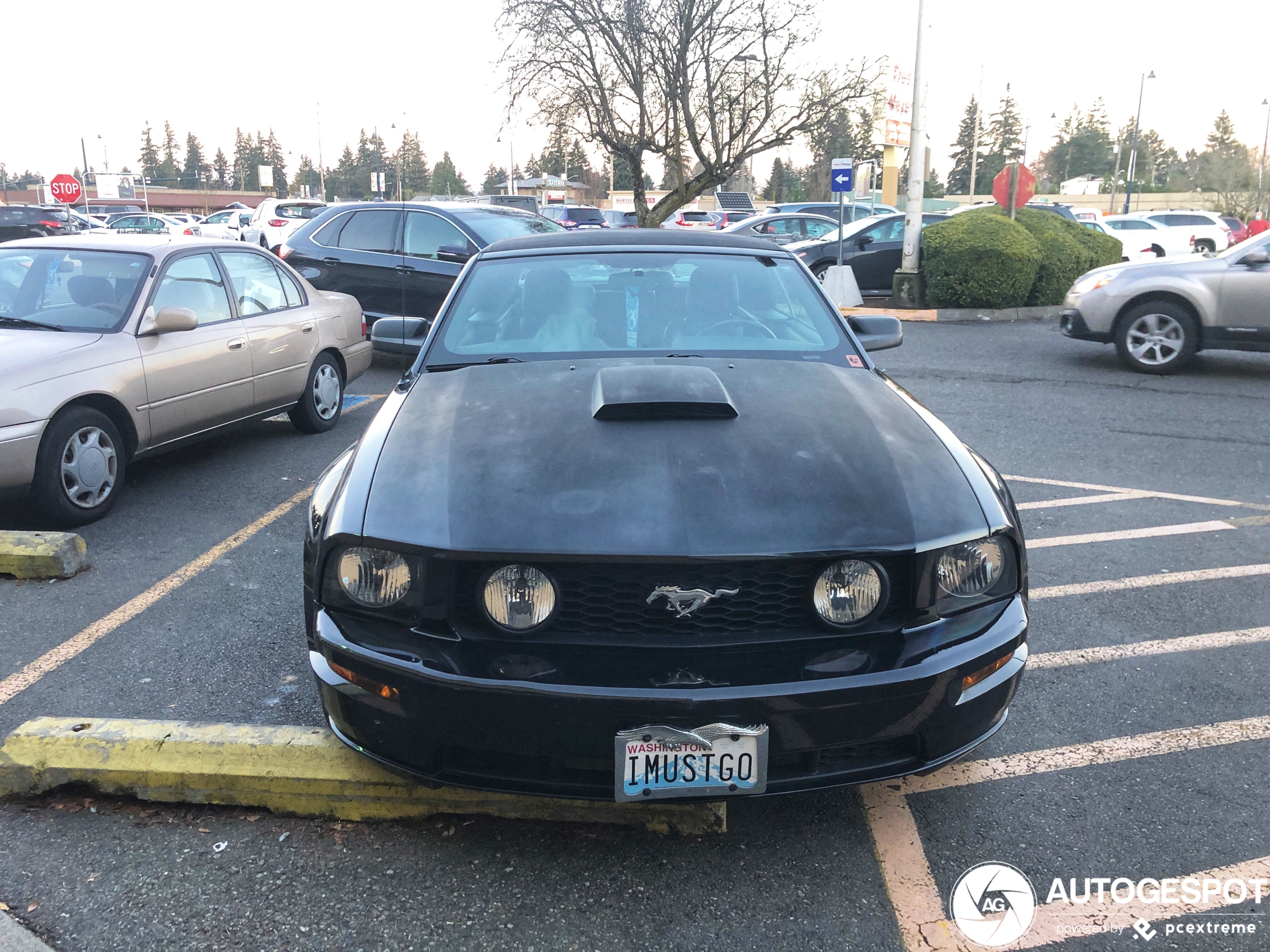 Ford Mustang GT Convertible