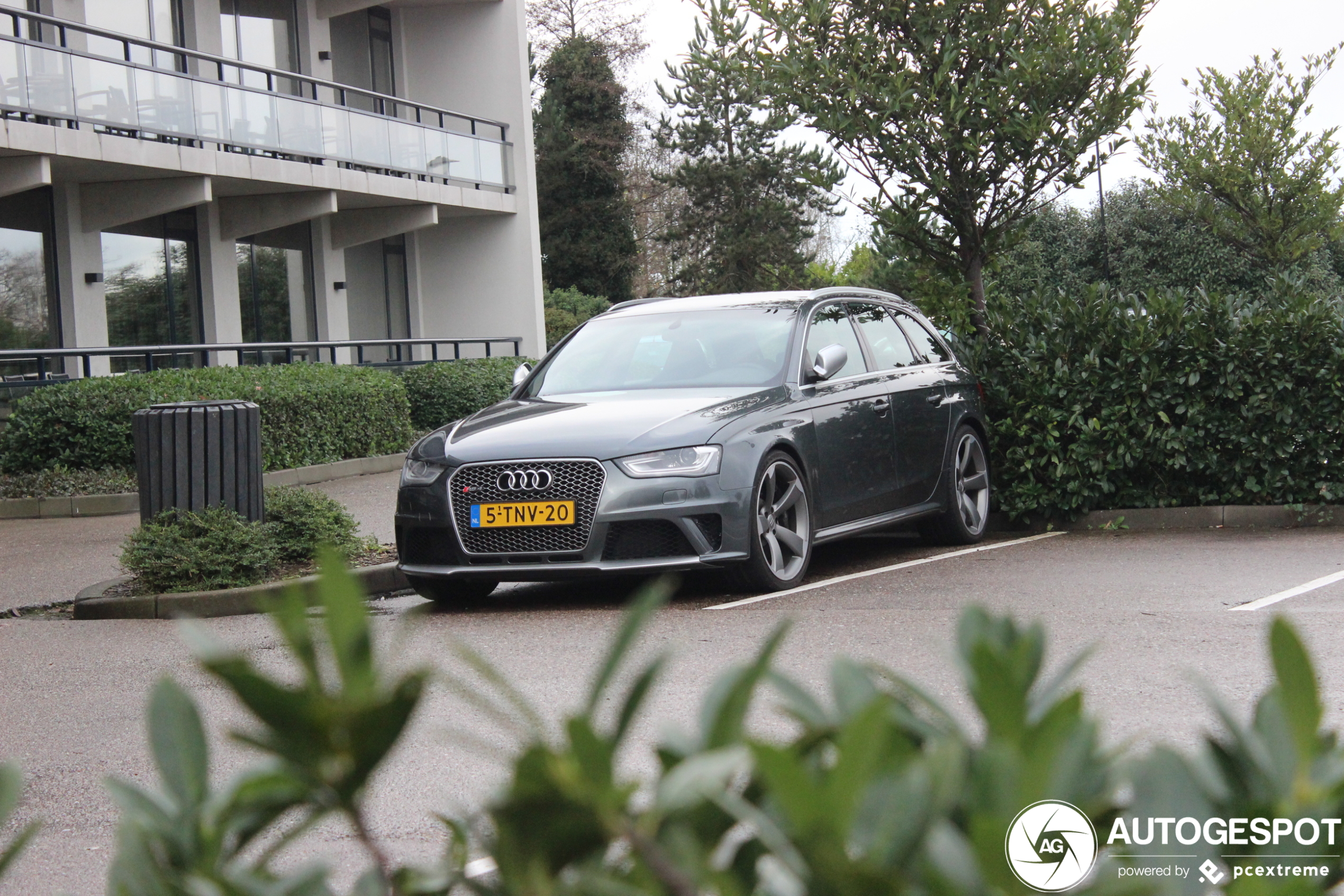 Audi RS4 Avant B8