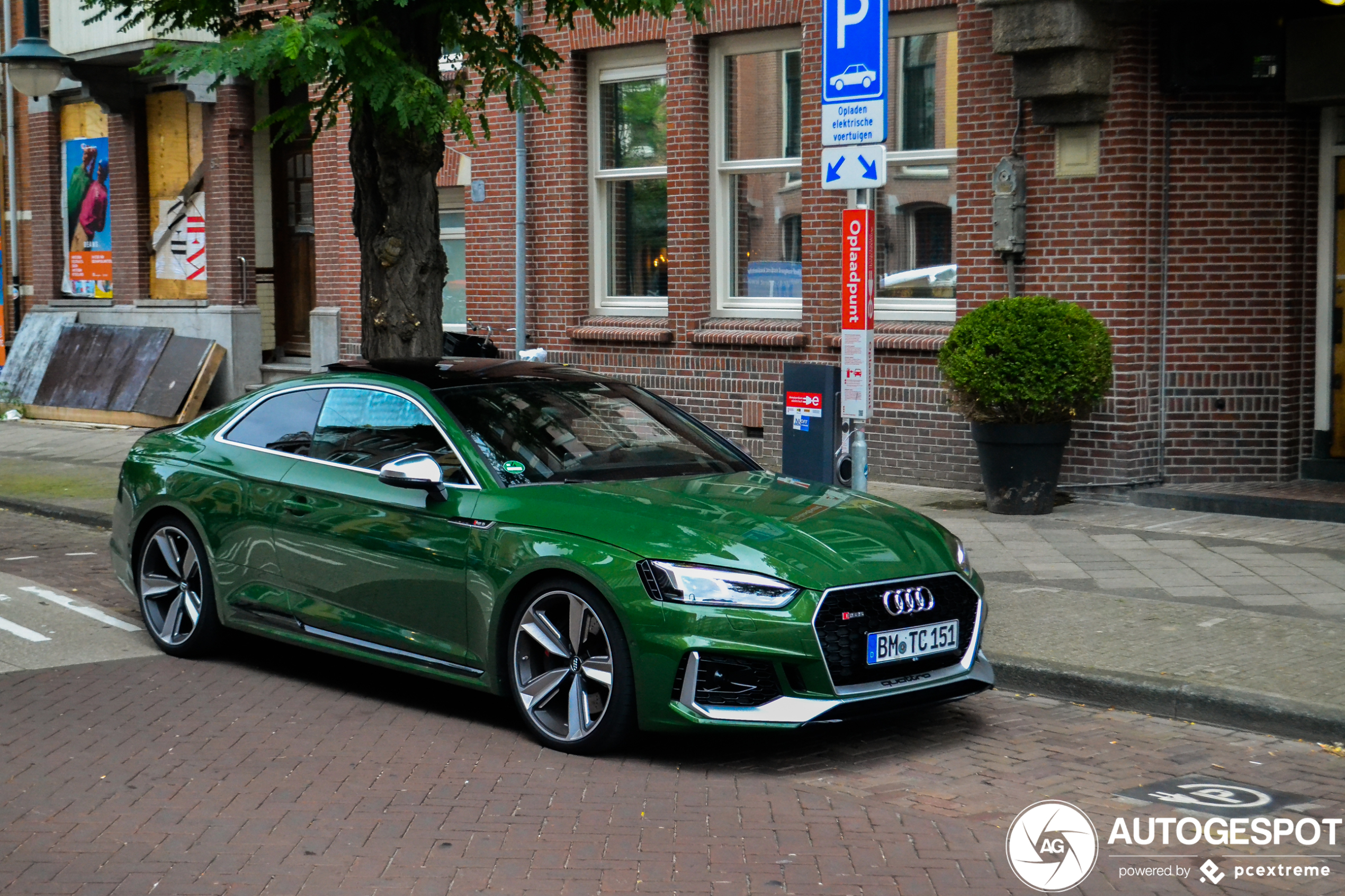 Audi RS5 B9