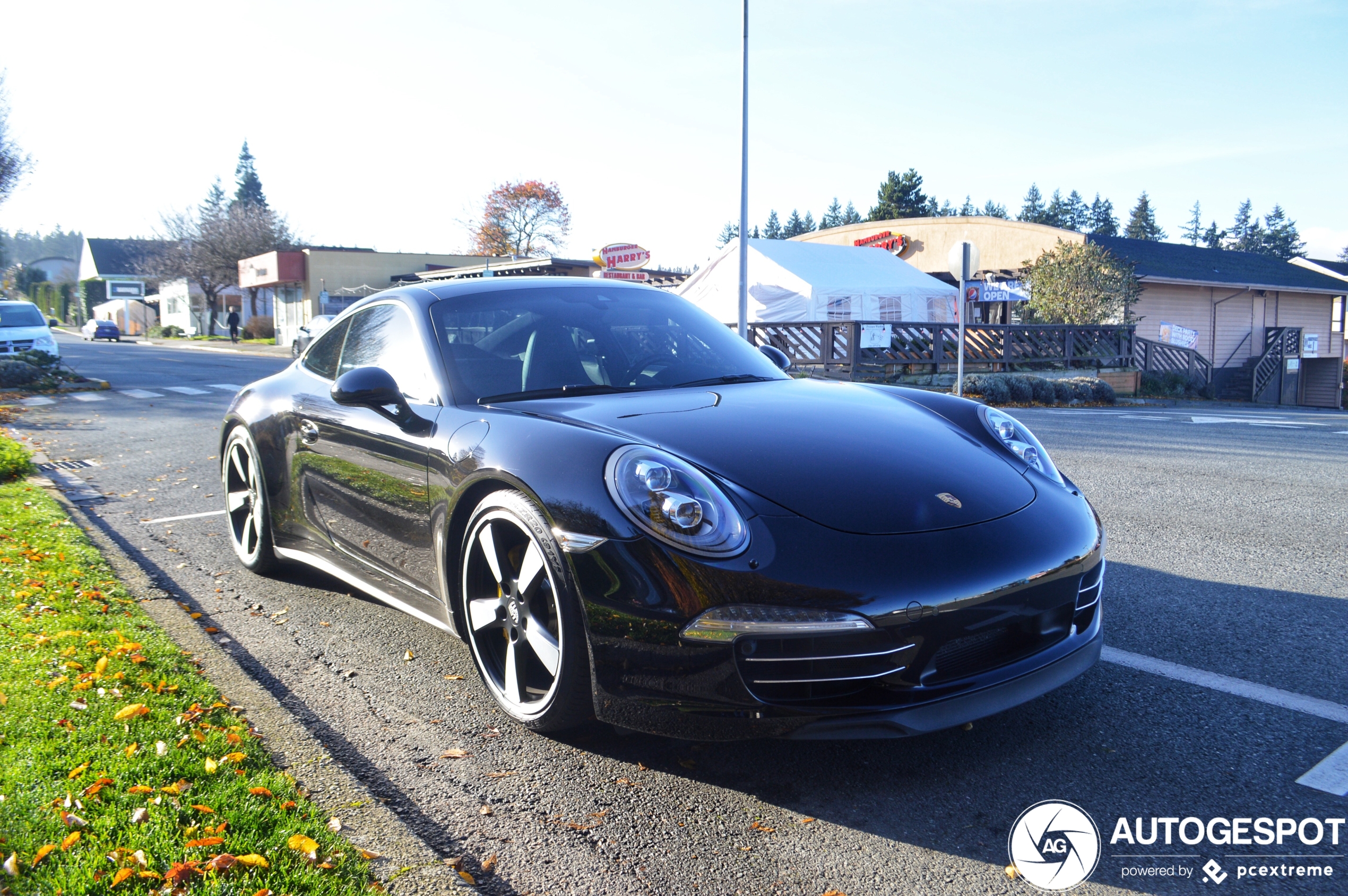 Porsche 991 50th Anniversary Edition