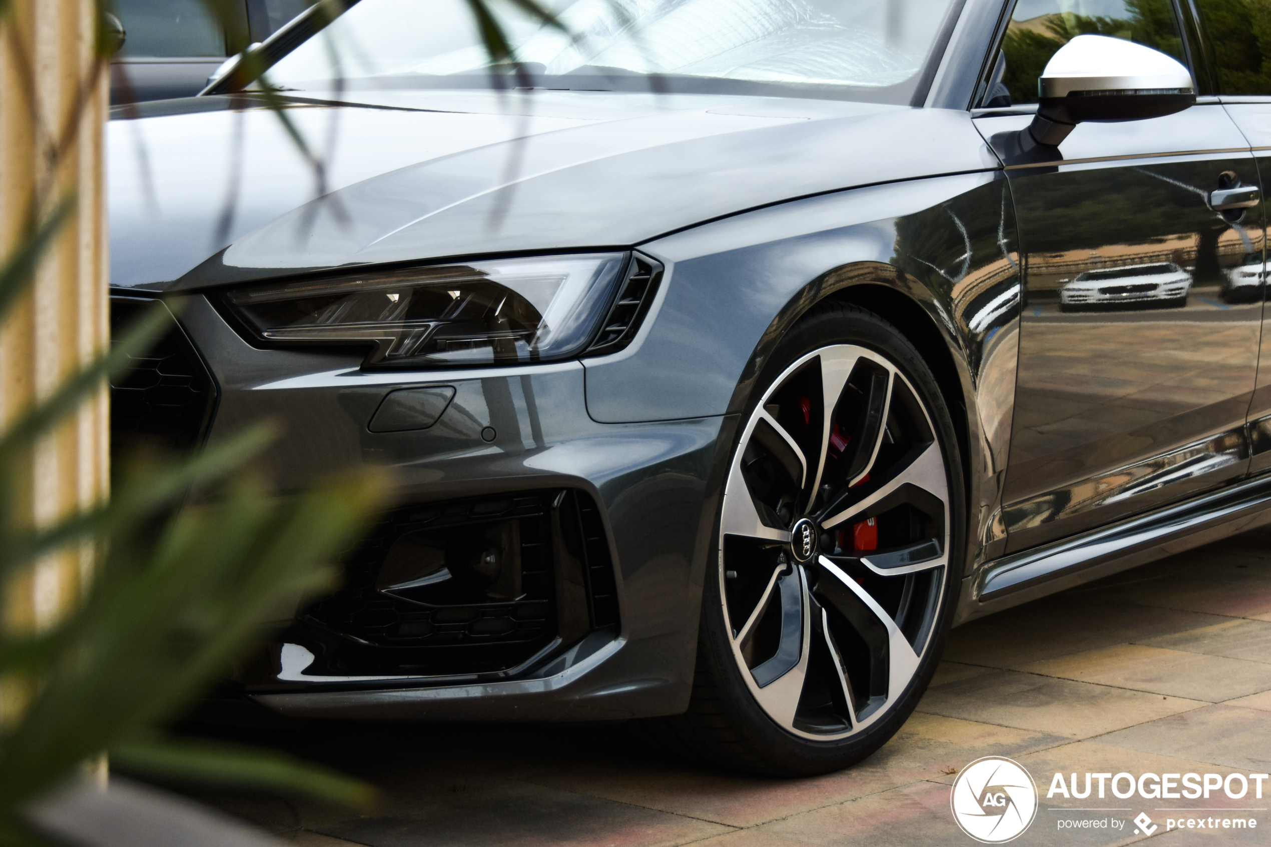 Audi RS4 Avant B9