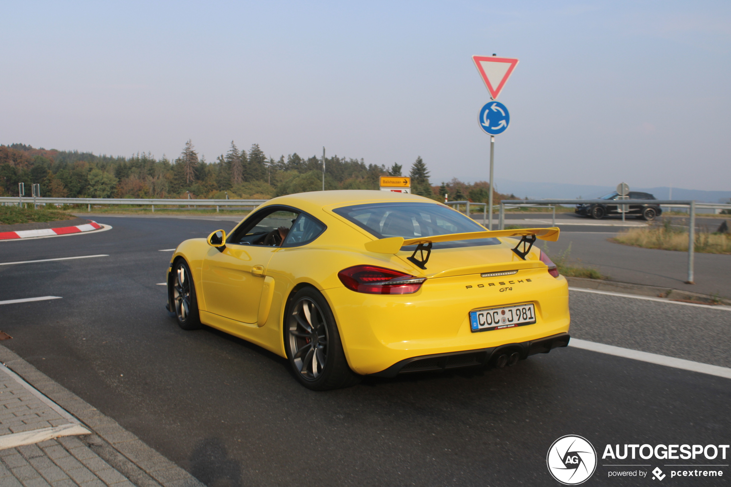 Porsche 981 Cayman GT4