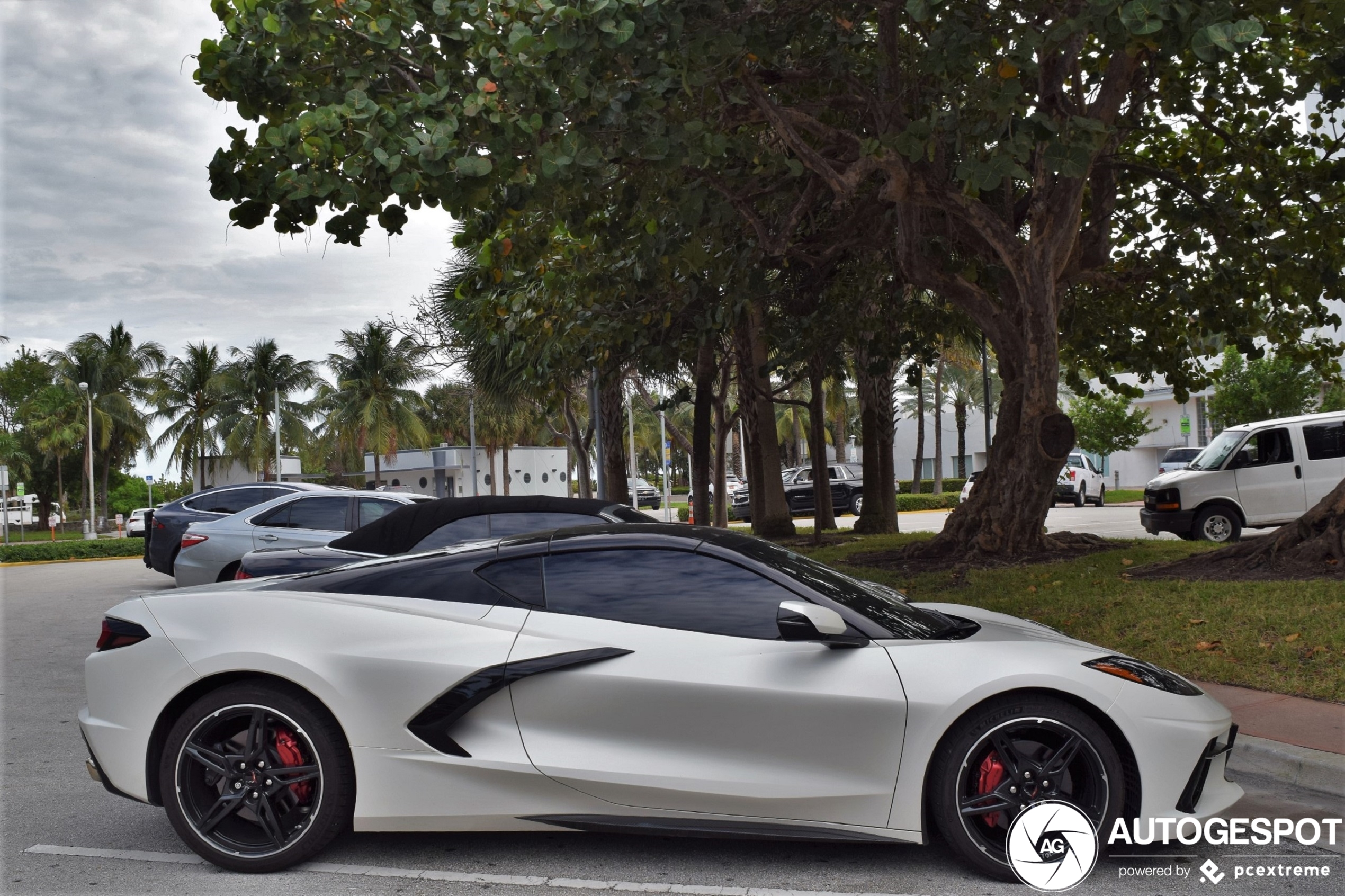 Chevrolet Corvette C8