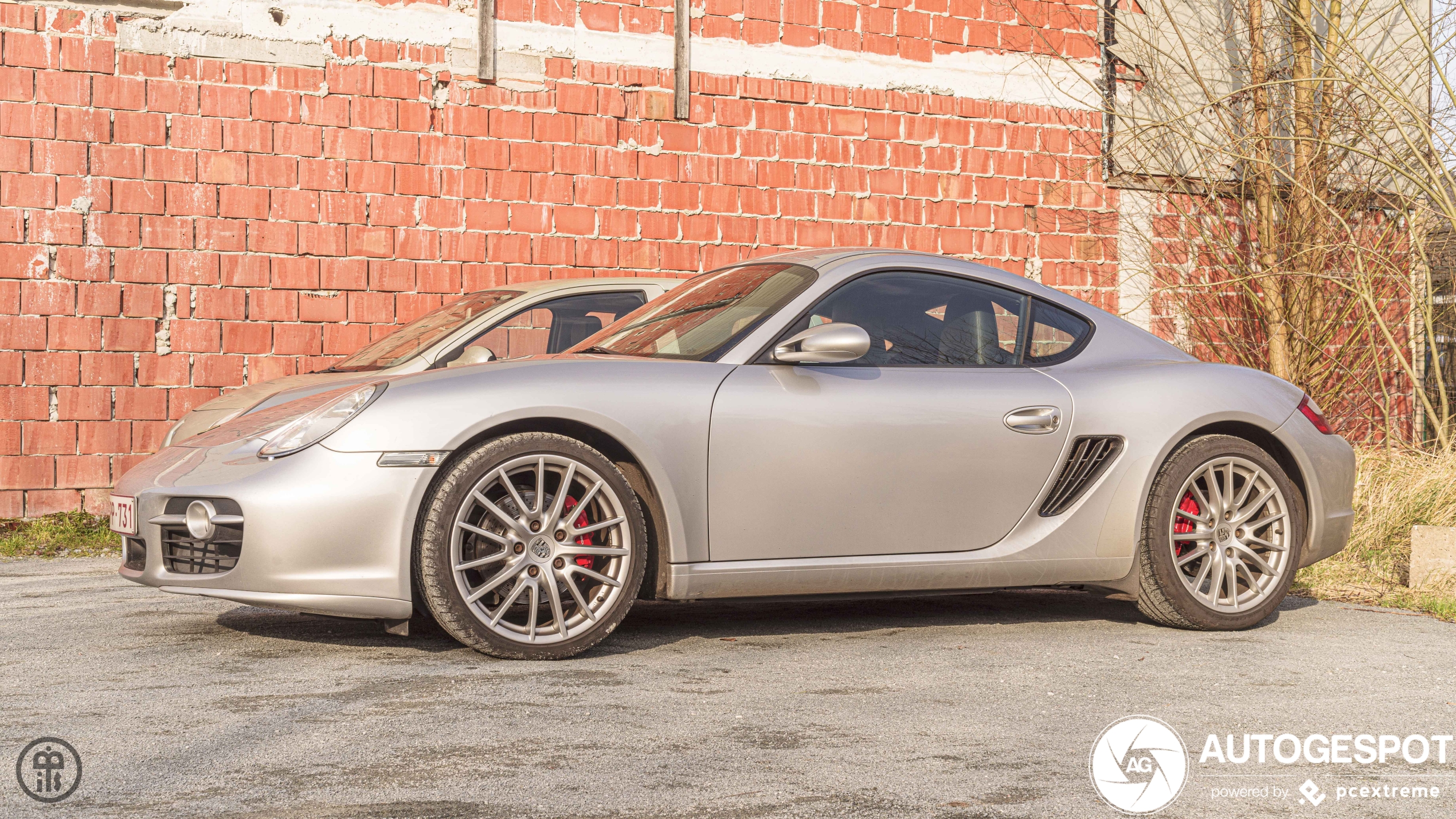 Porsche 987 Cayman S