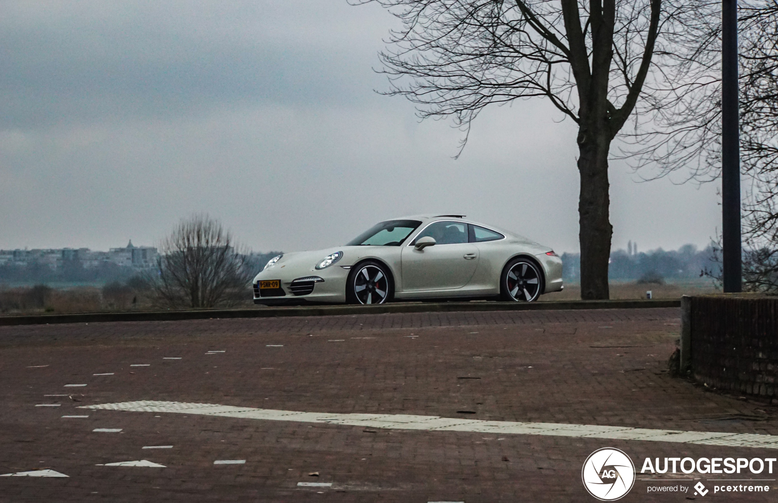 Porsche 991 50th Anniversary Edition