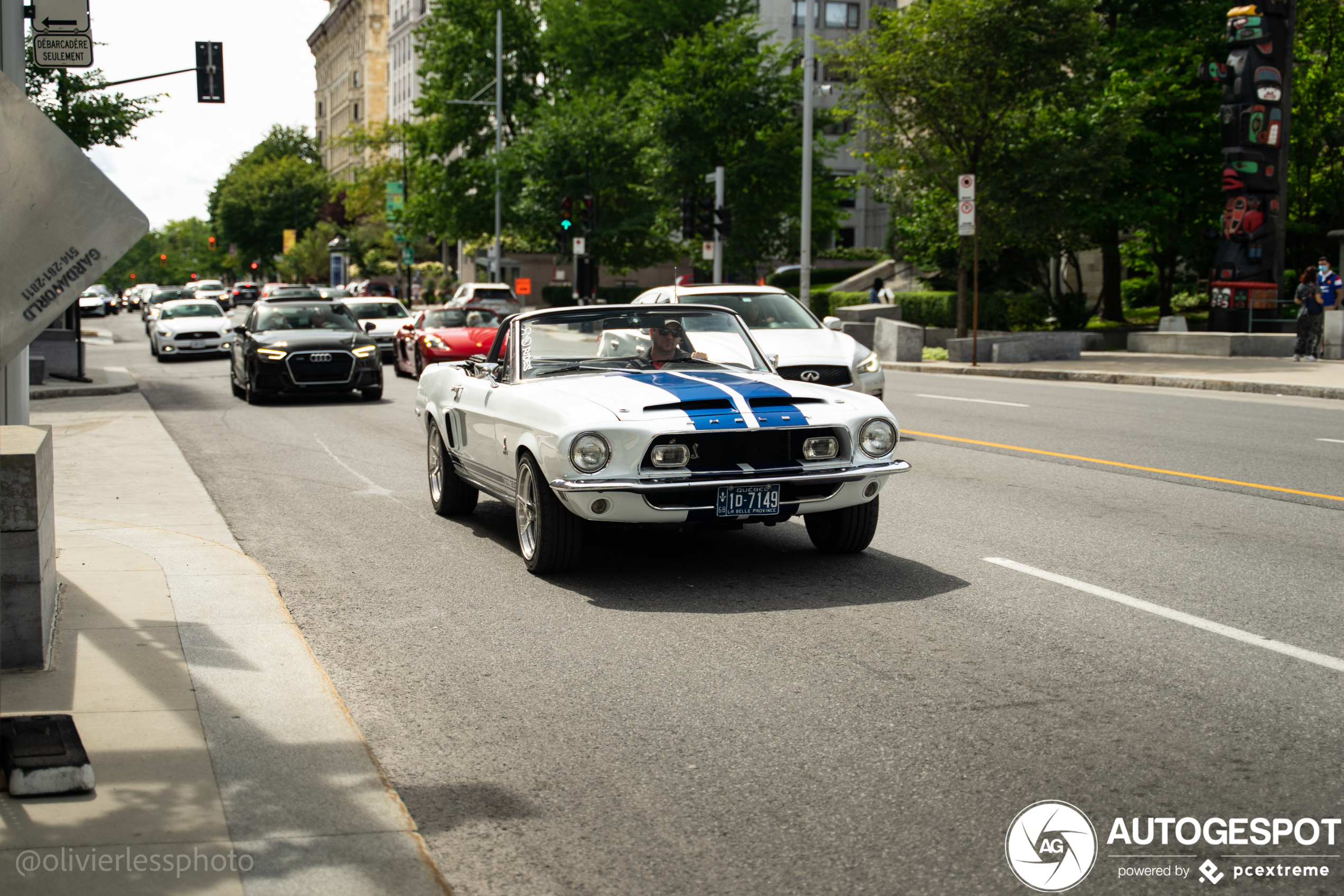 Ford Mustang Shelby G.T. 350 Convertible