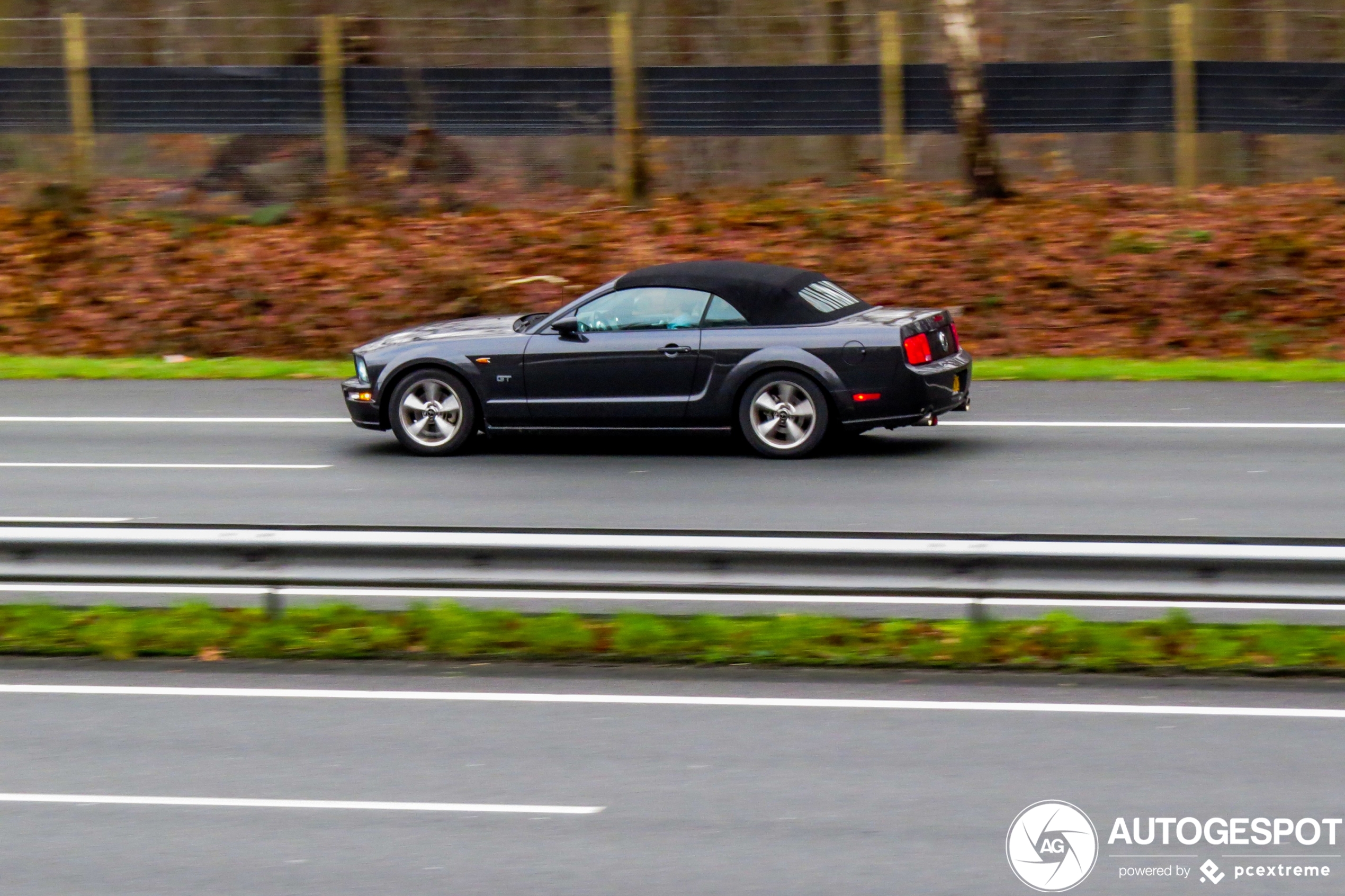 Ford Mustang GT Convertible