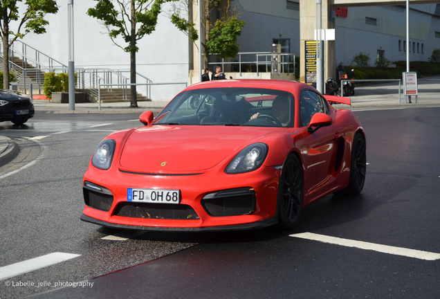 Porsche 981 Cayman GT4