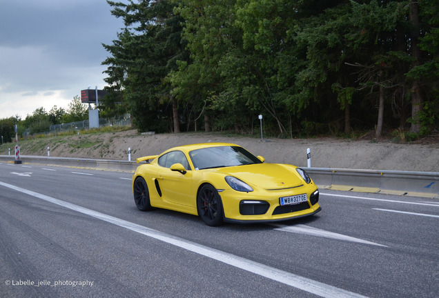 Porsche 981 Cayman GT4