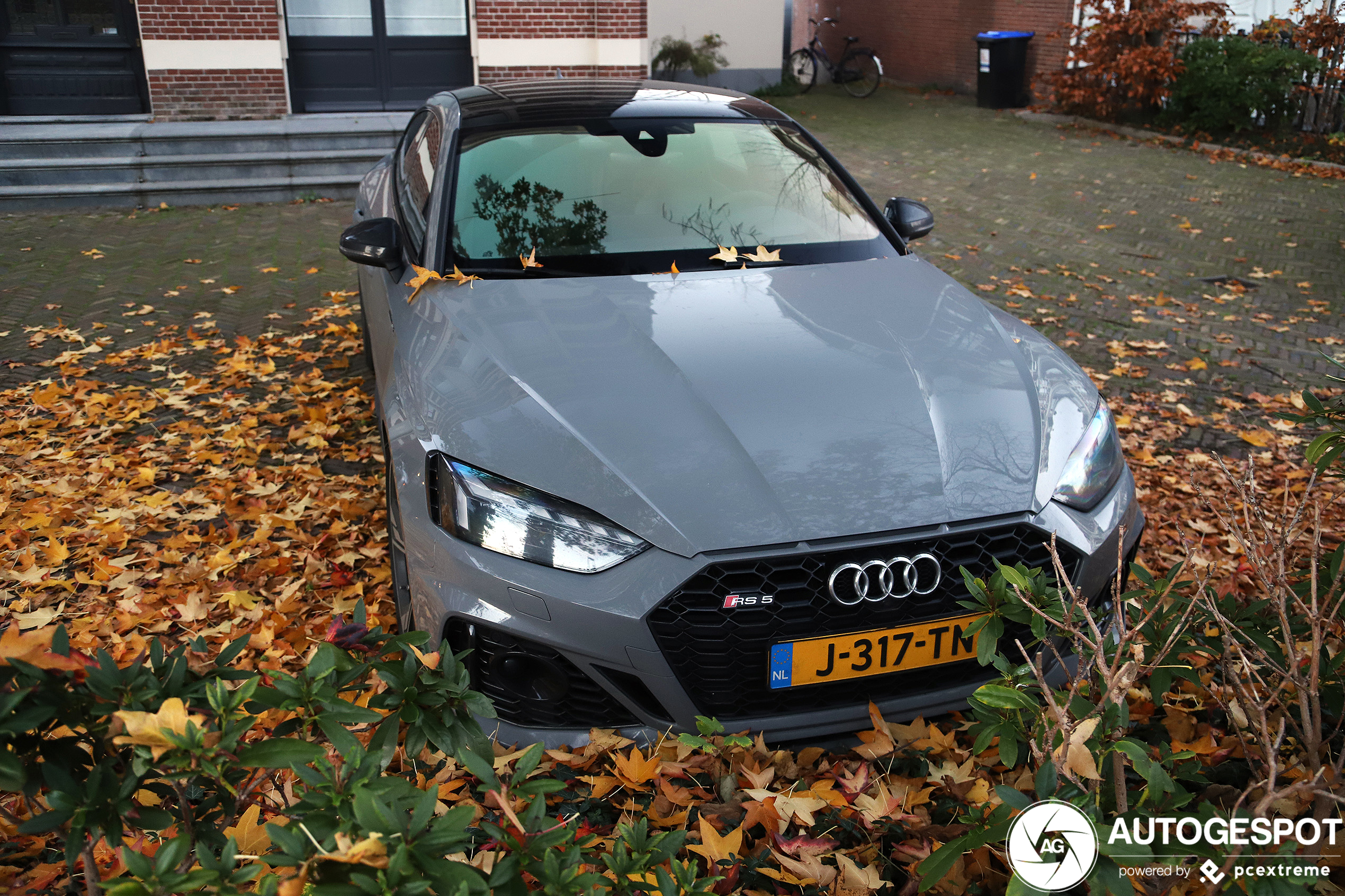 Audi RS5 Sportback B9 2021