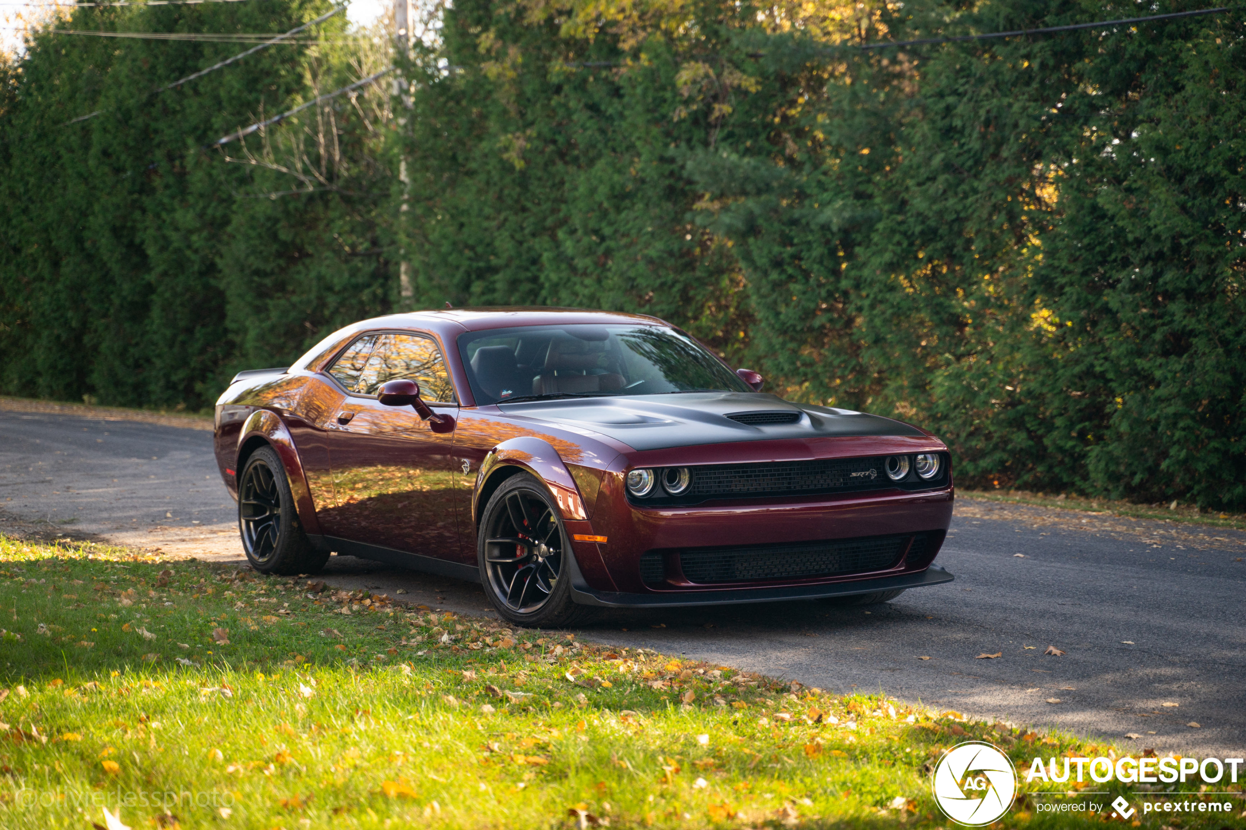 Dodge Challenger SRT Hellcat Widebody