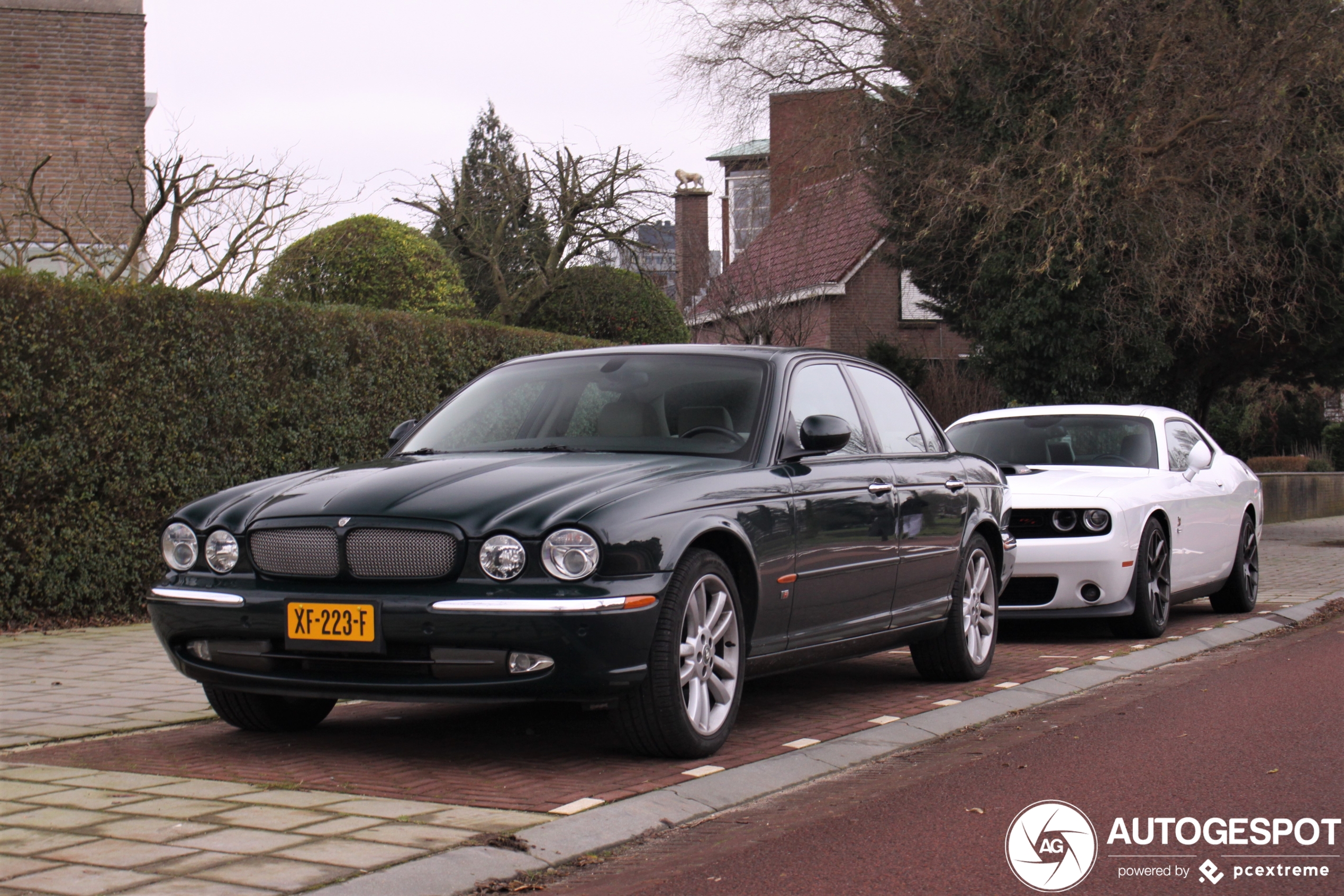 Jaguar XJR