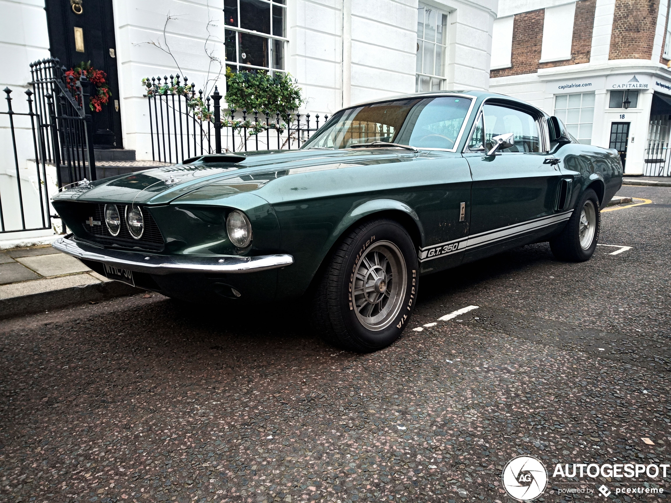 Ford Mustang Shelby G.T. 350