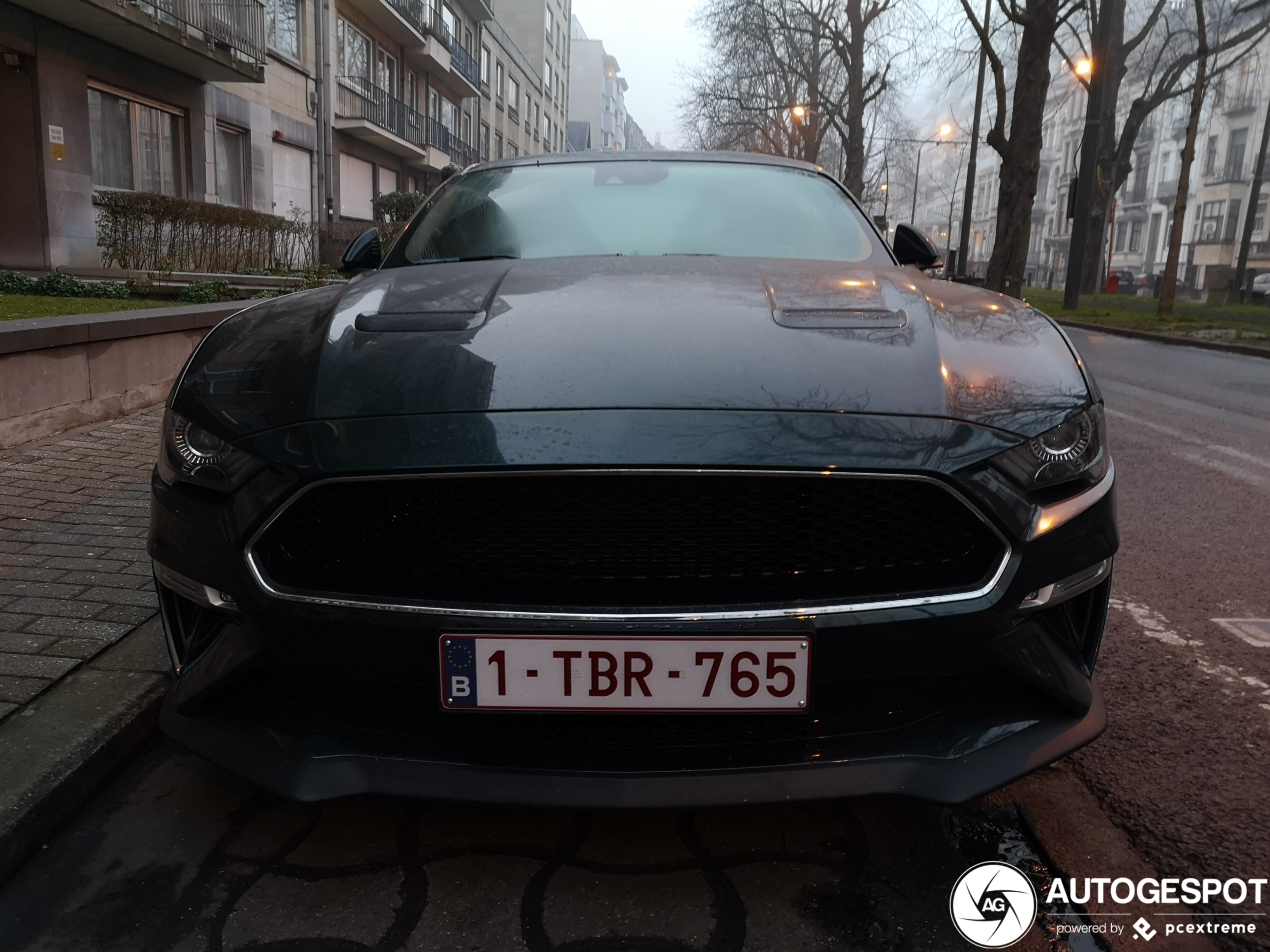 Ford Mustang Bullitt 2019