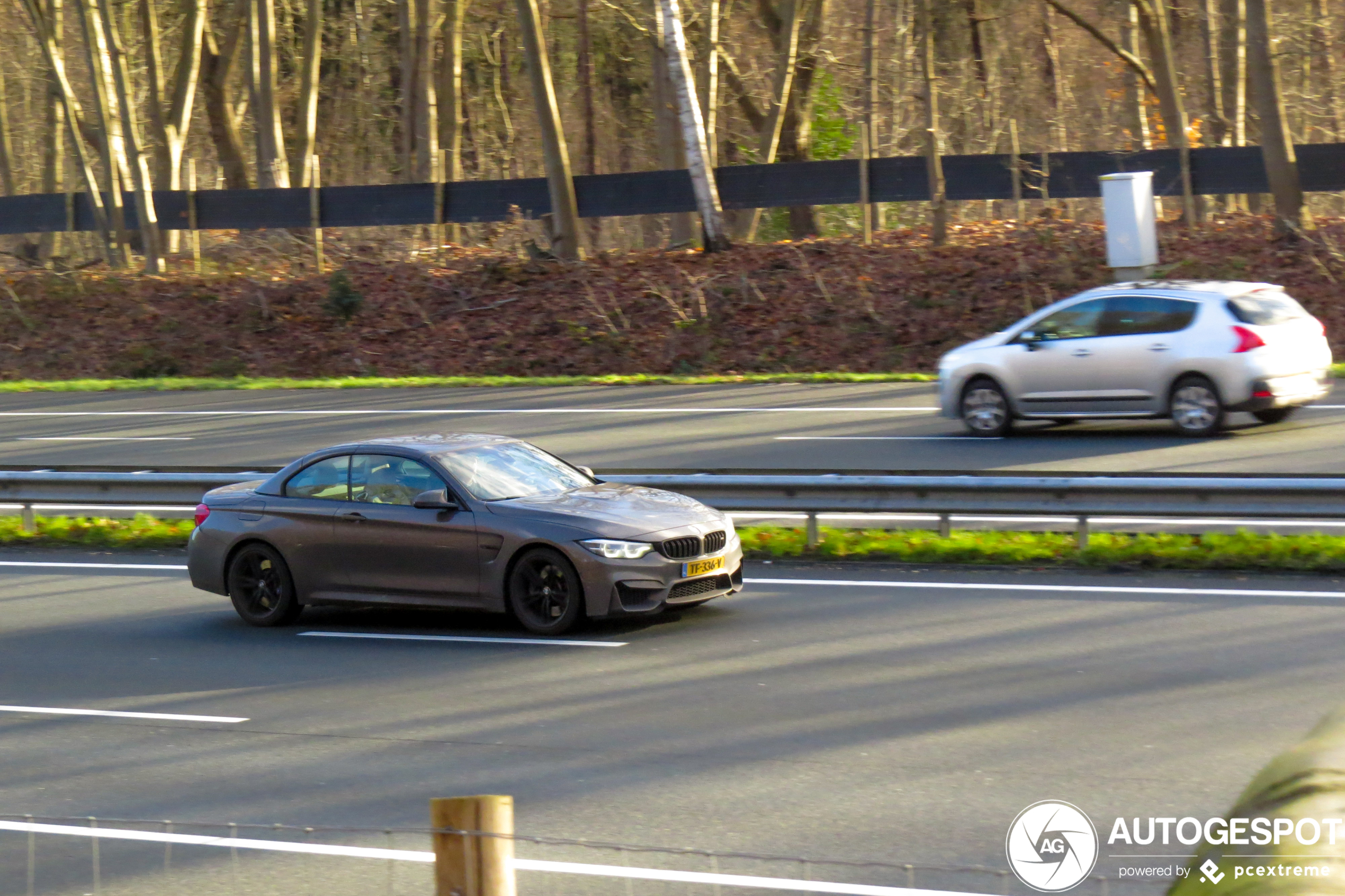 BMW M4 F83 Convertible