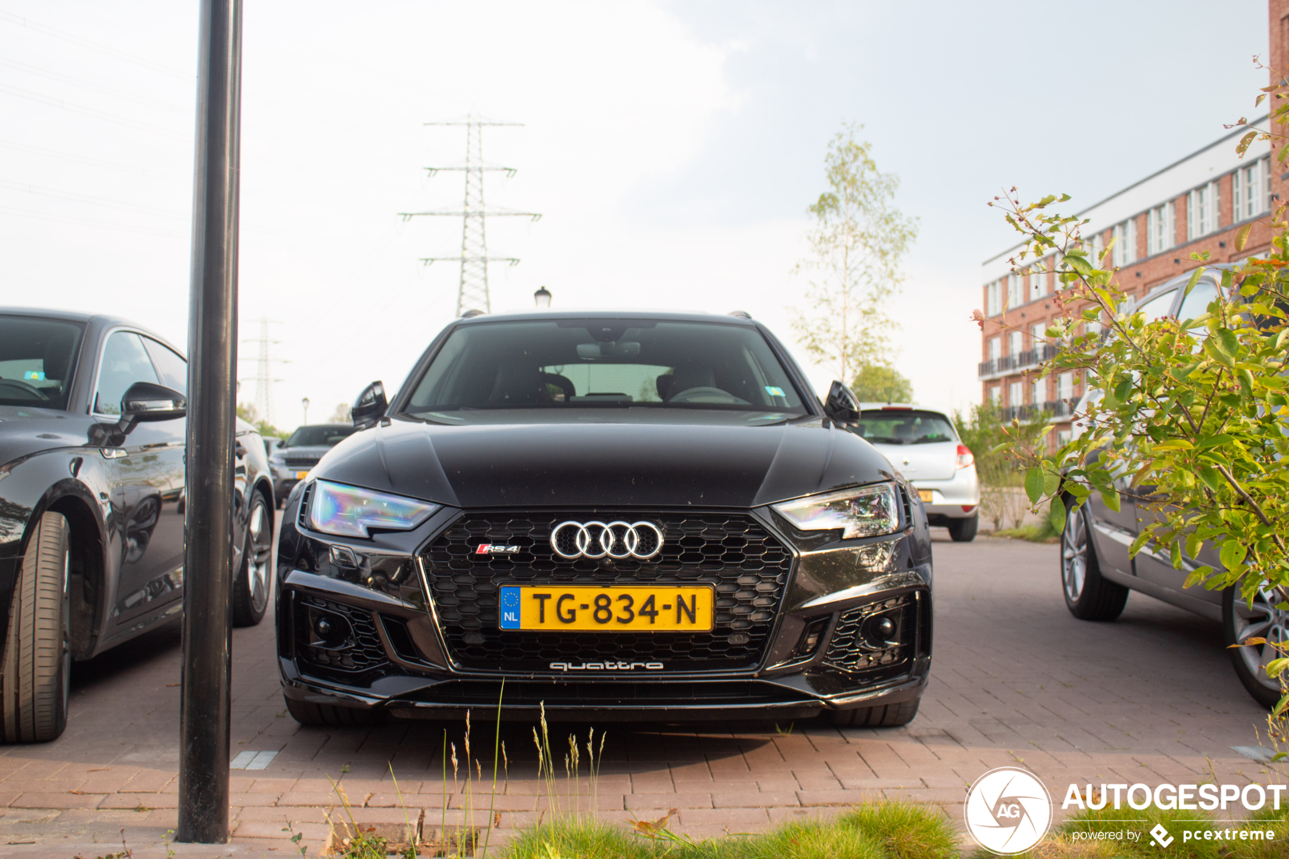 Audi RS4 Avant B9