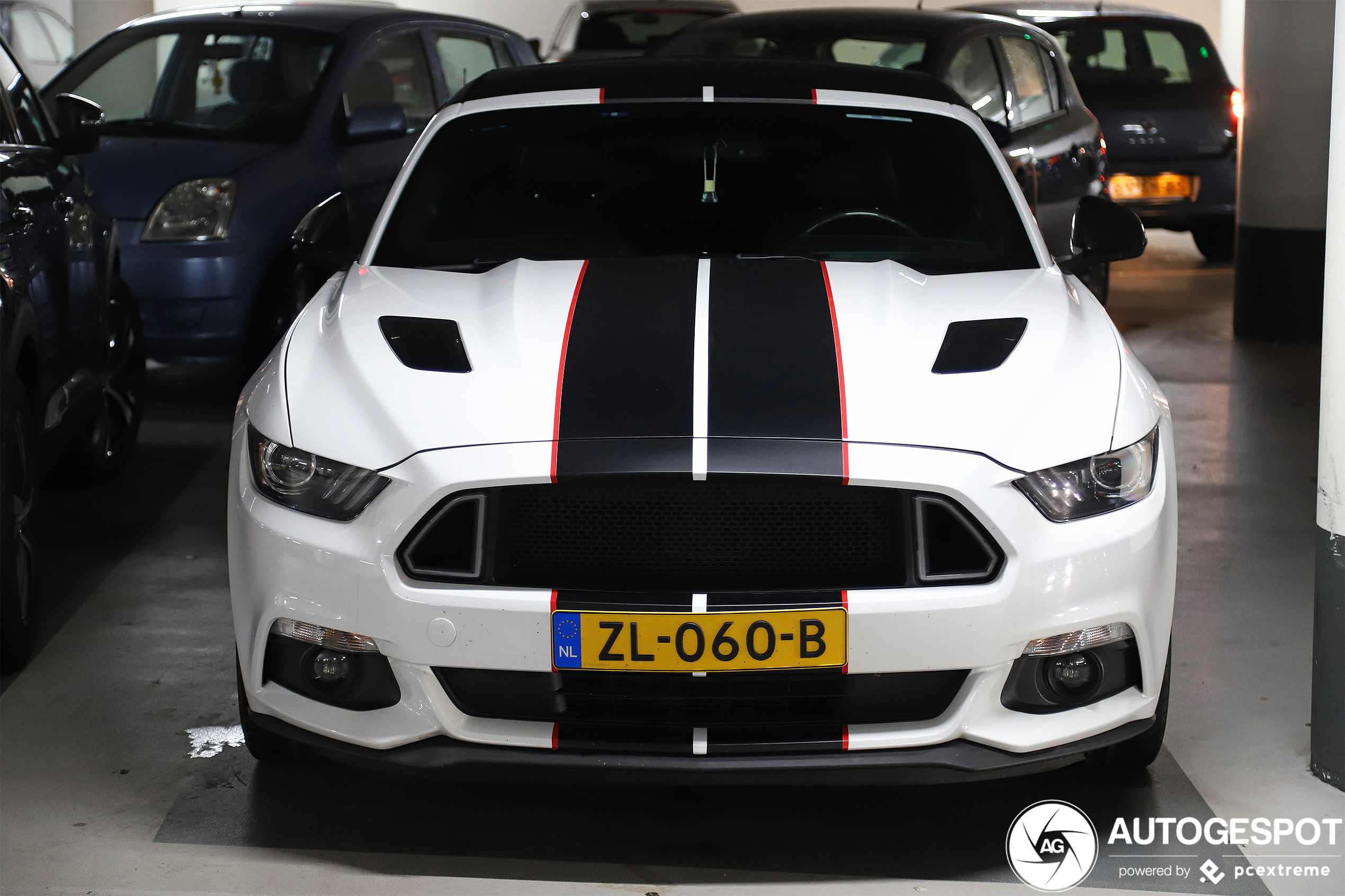 Ford Mustang GT 50th Anniversary Convertible