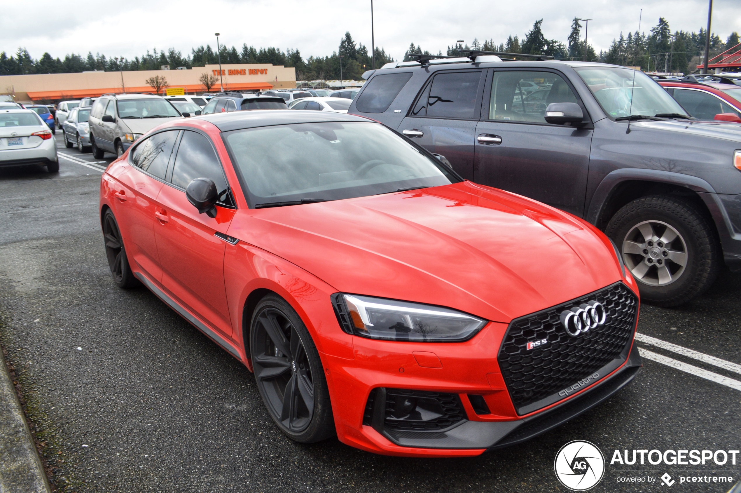 Audi RS5 Sportback B9