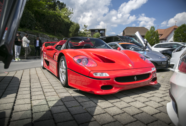 Ferrari F50