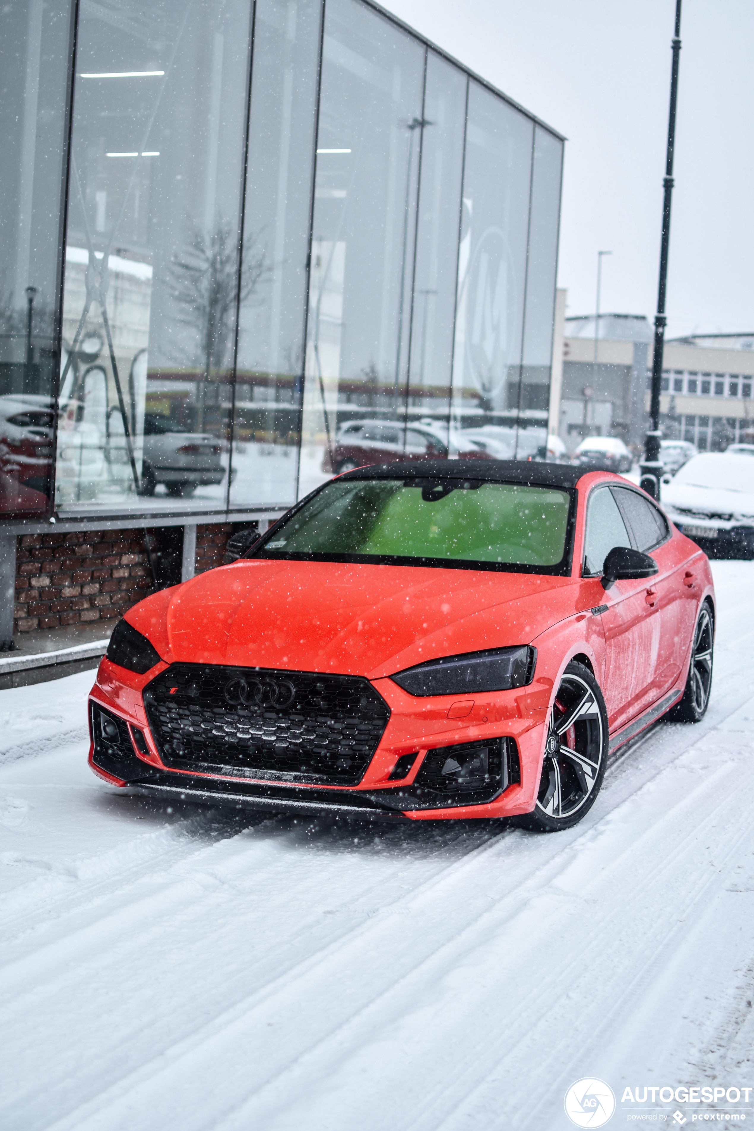 Audi RS5 Sportback geeft ons alvast voorproefje voor komend weekend