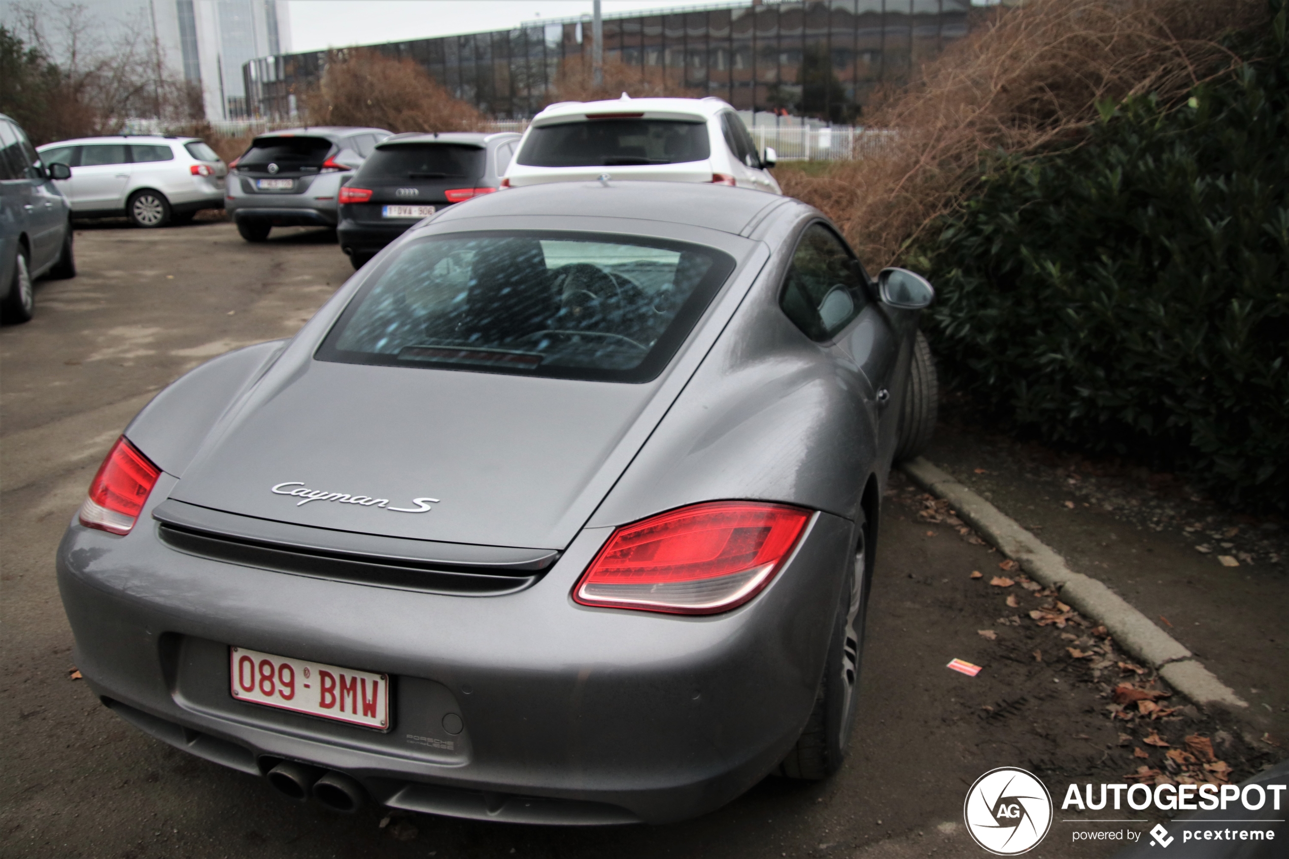 Porsche 987 Cayman S MkII