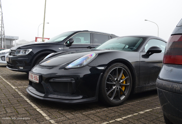 Porsche 981 Cayman GT4