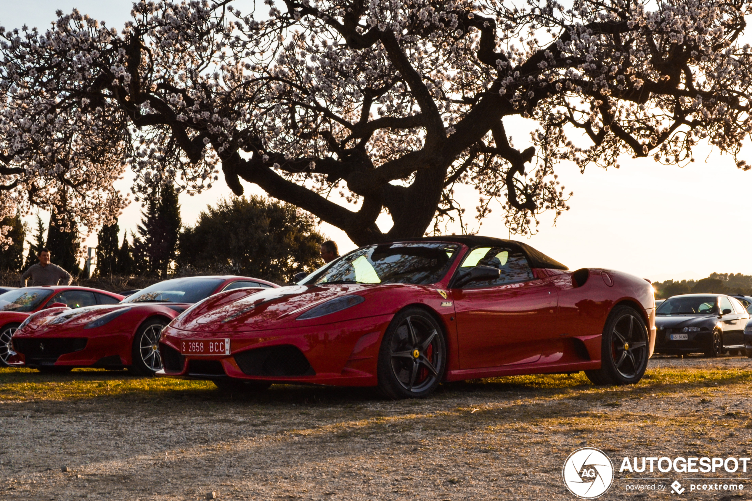 Ferrari Scuderia Spider 16M