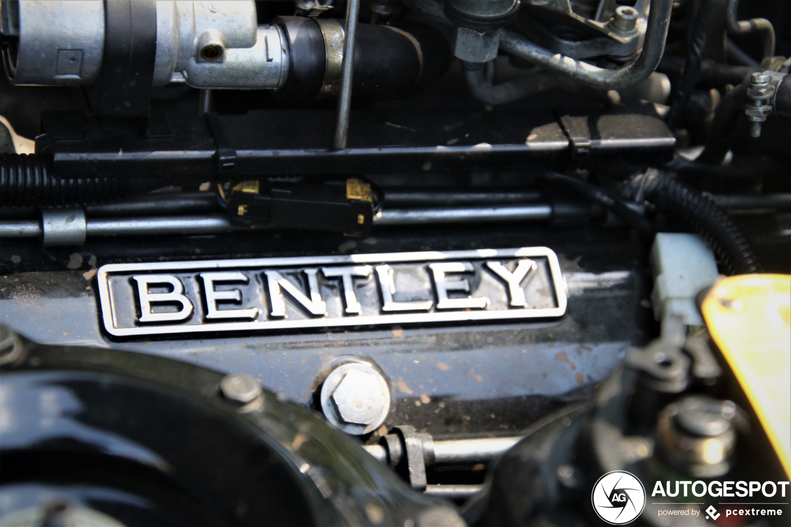 Bentley Continental Convertible
